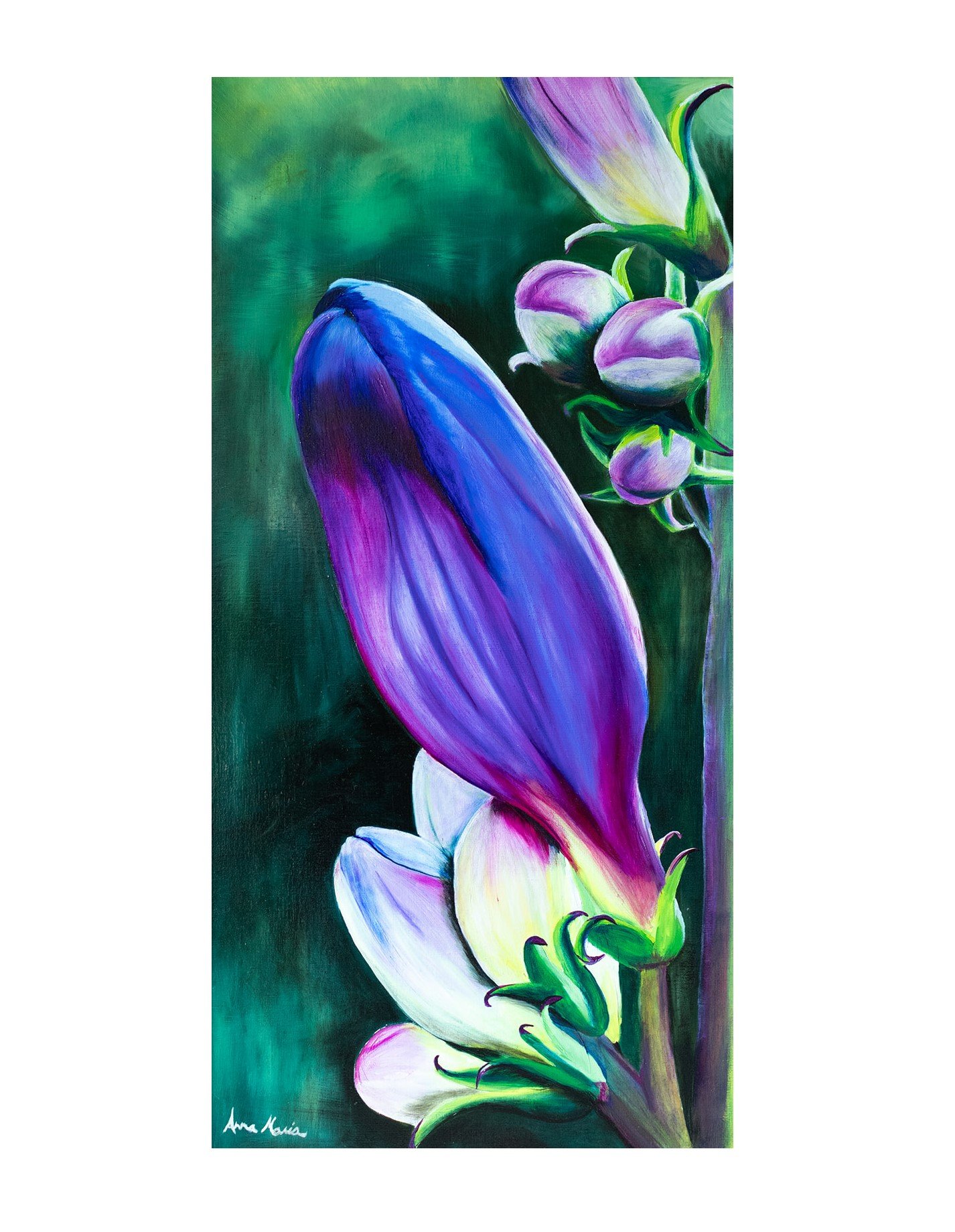 Wild Turtlehead zoomed out.jpg