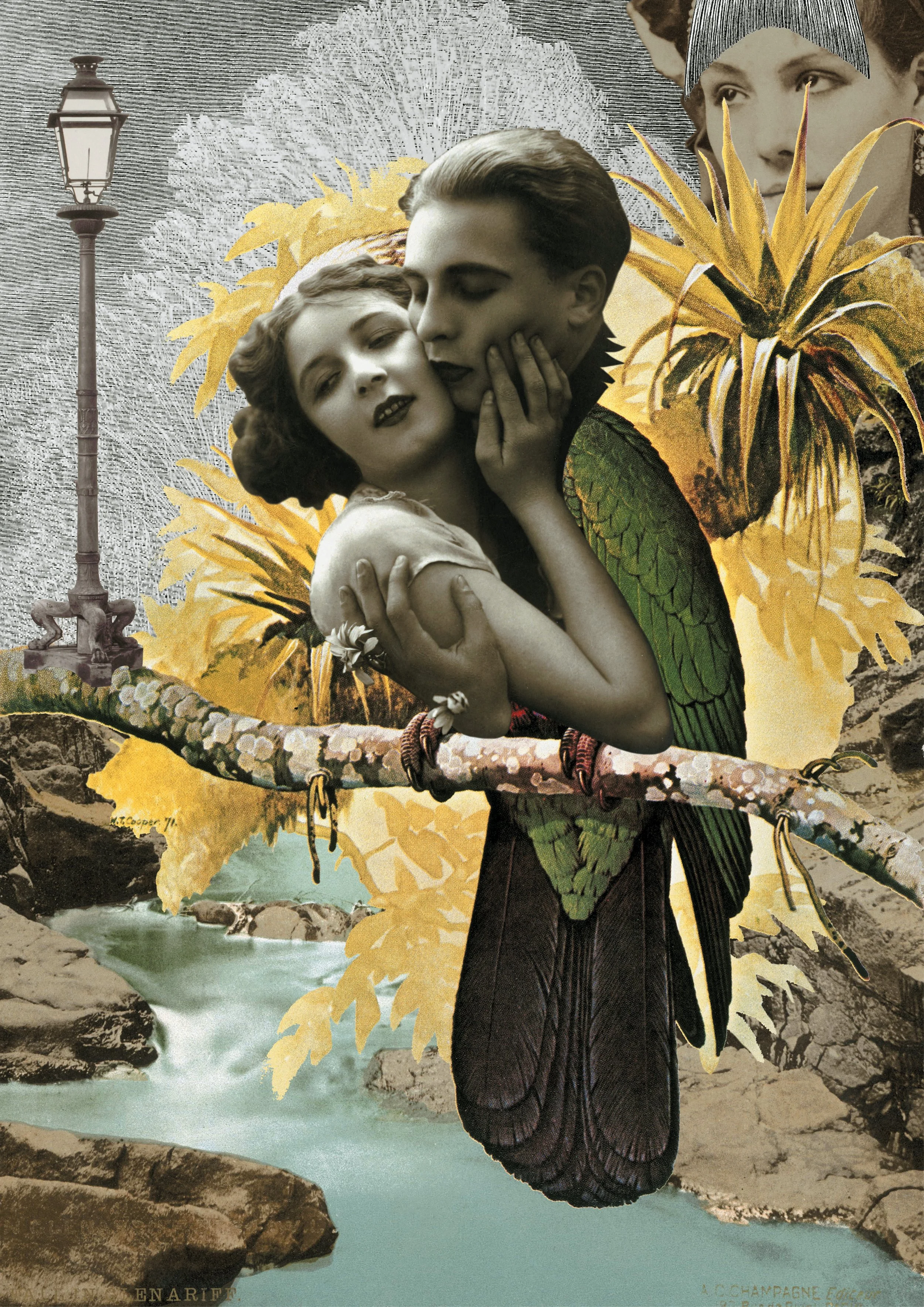 13bis Sur la branche_RT_rvb.jpg