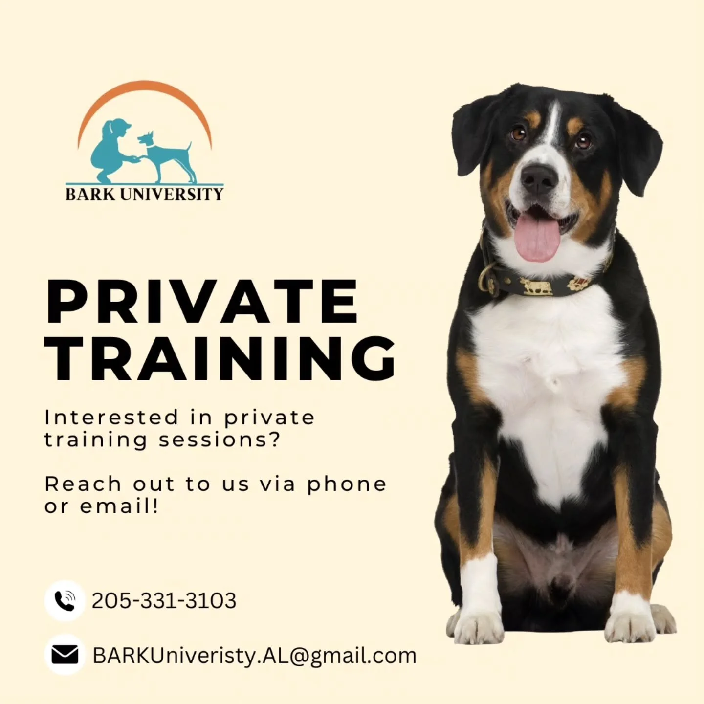 Need one-on-one support with your dog&rsquo;s training? Our private sessions are tailored to your dog&rsquo;s unique needs &mdash; from basic manners to behavior challenges. 💡
Work directly with our trainers to build confidence, communication, and c