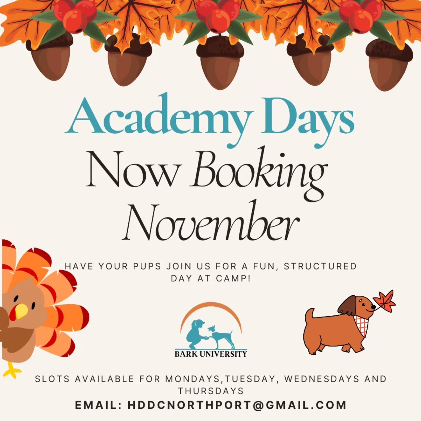 We are now booking for October Academy days! 

Academy days have to be paid separately from Daycamp days, meaning you can't use package days for these. The price for the full day is $55, and drop off should be between 7am and 8am with pick up times a