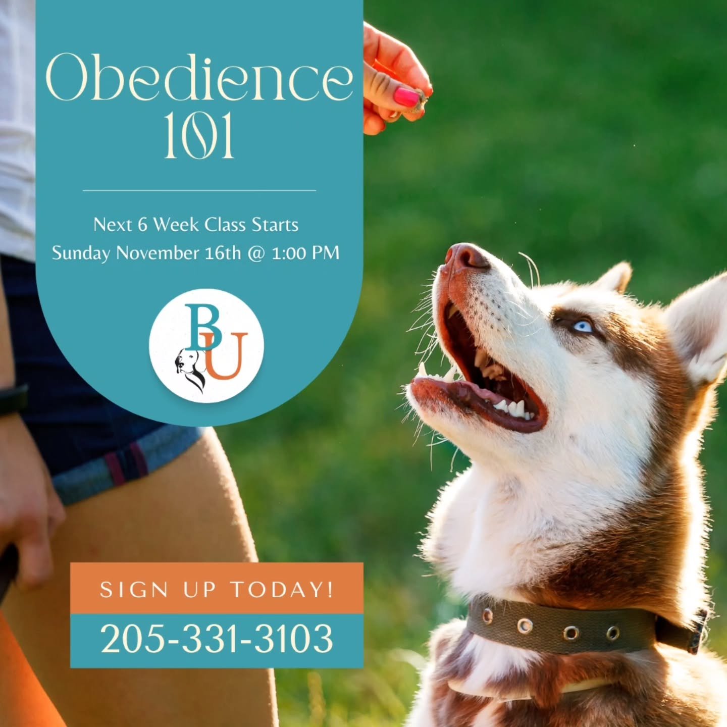 Our next Obedience 101 class is right around the corner! 

Our 6-Week Obedience 101 class teaches you and your pup all the foundational skills to help build trust, communication, and manners with your canine companion.

Contact us to reserve your spo