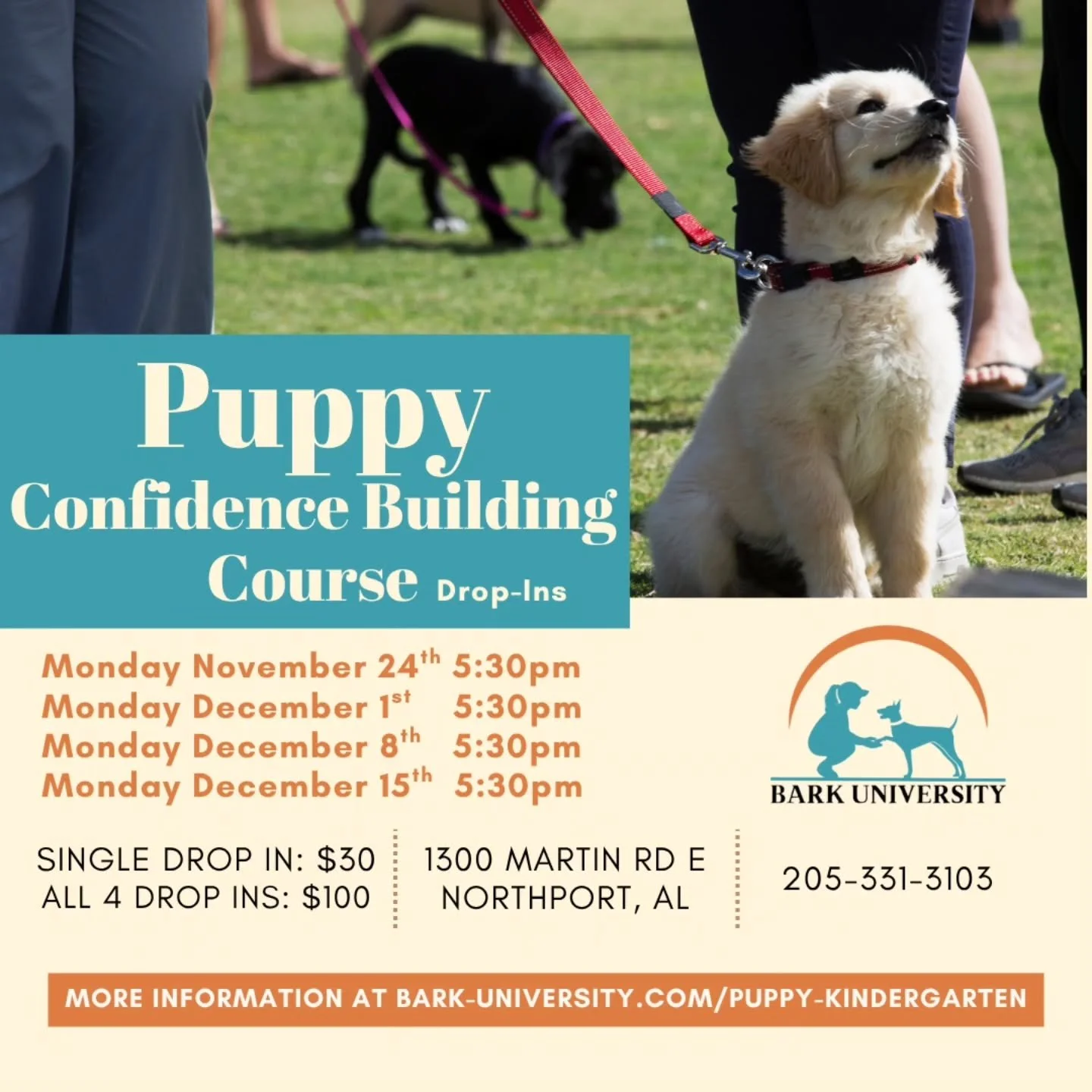 We&rsquo;re excited to announce a brand-new Puppy Confidence Building Drop-In Class designed to help your pup blossom into a calm, curious, and resilient companion!

This class is perfect for puppies who may be a little shy, nervous in new environmen