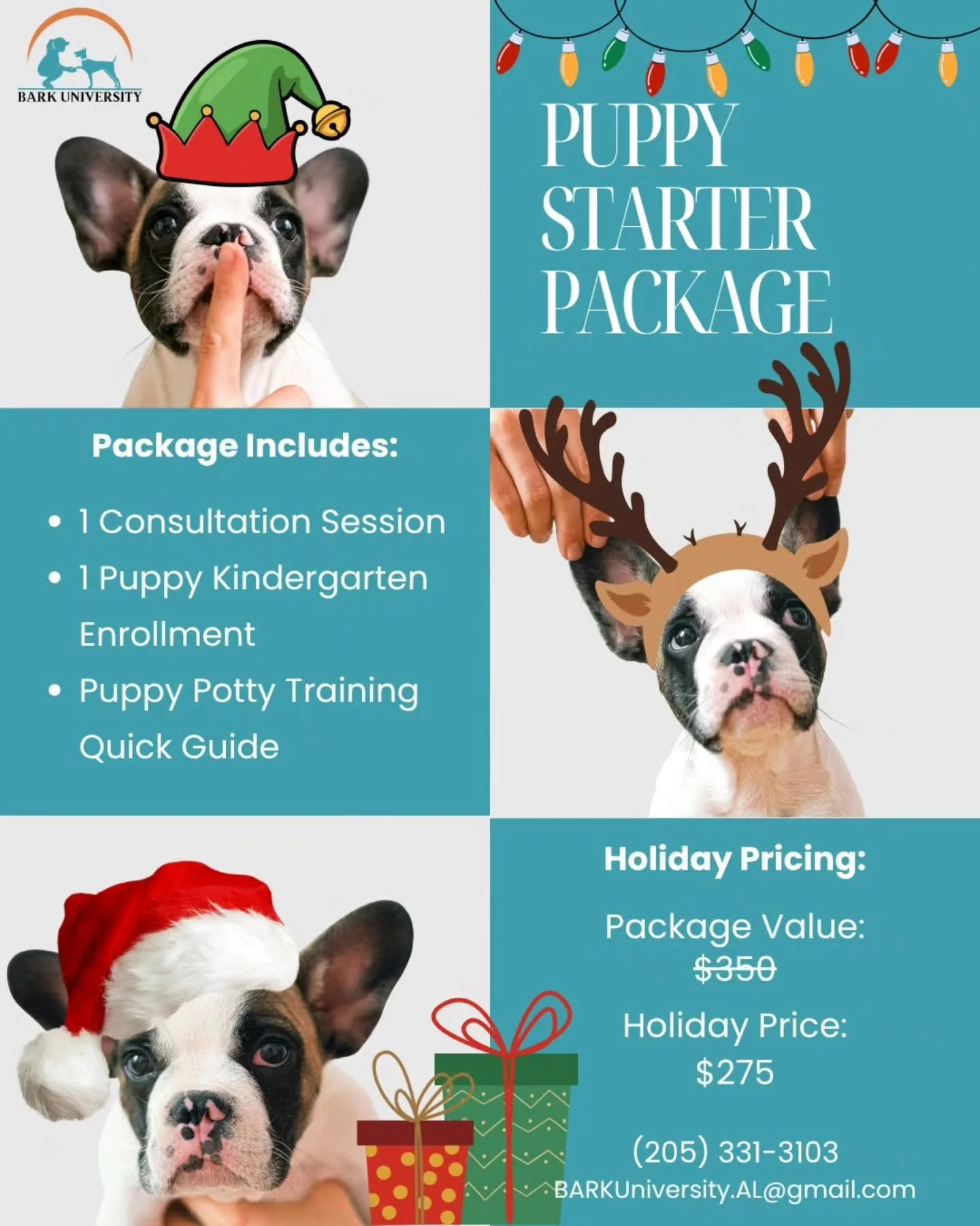 Got a new puppy for the holidays? 🎁🐶 Our Puppy Starter Package is the perfect way to kick off good habits from day one!

Get a consultation, Puppy Kindergarten enrollment, and our potty training quick guide&mdash;now at a special holiday price. ✨

