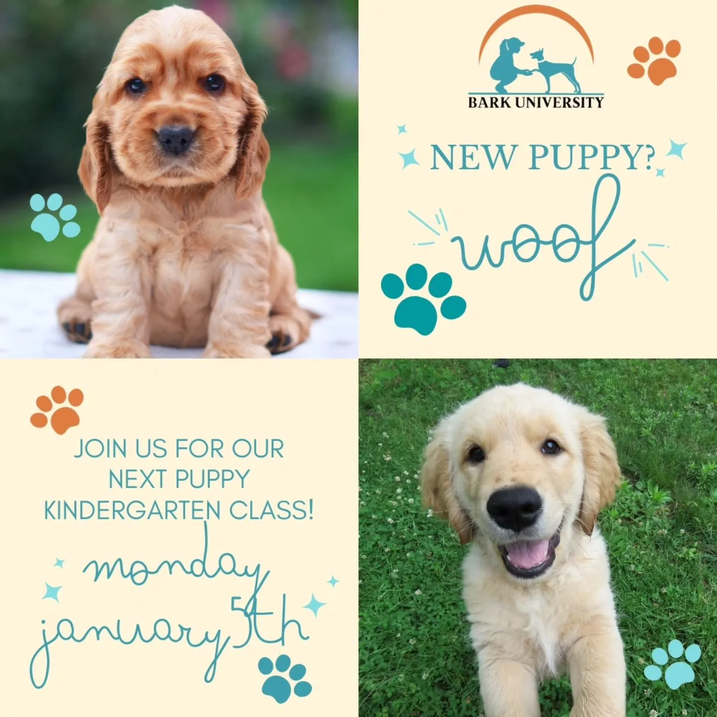 With the holidays coming up, our next Puppy class won't start until January 2026!

See you and your new puppies in the new year!