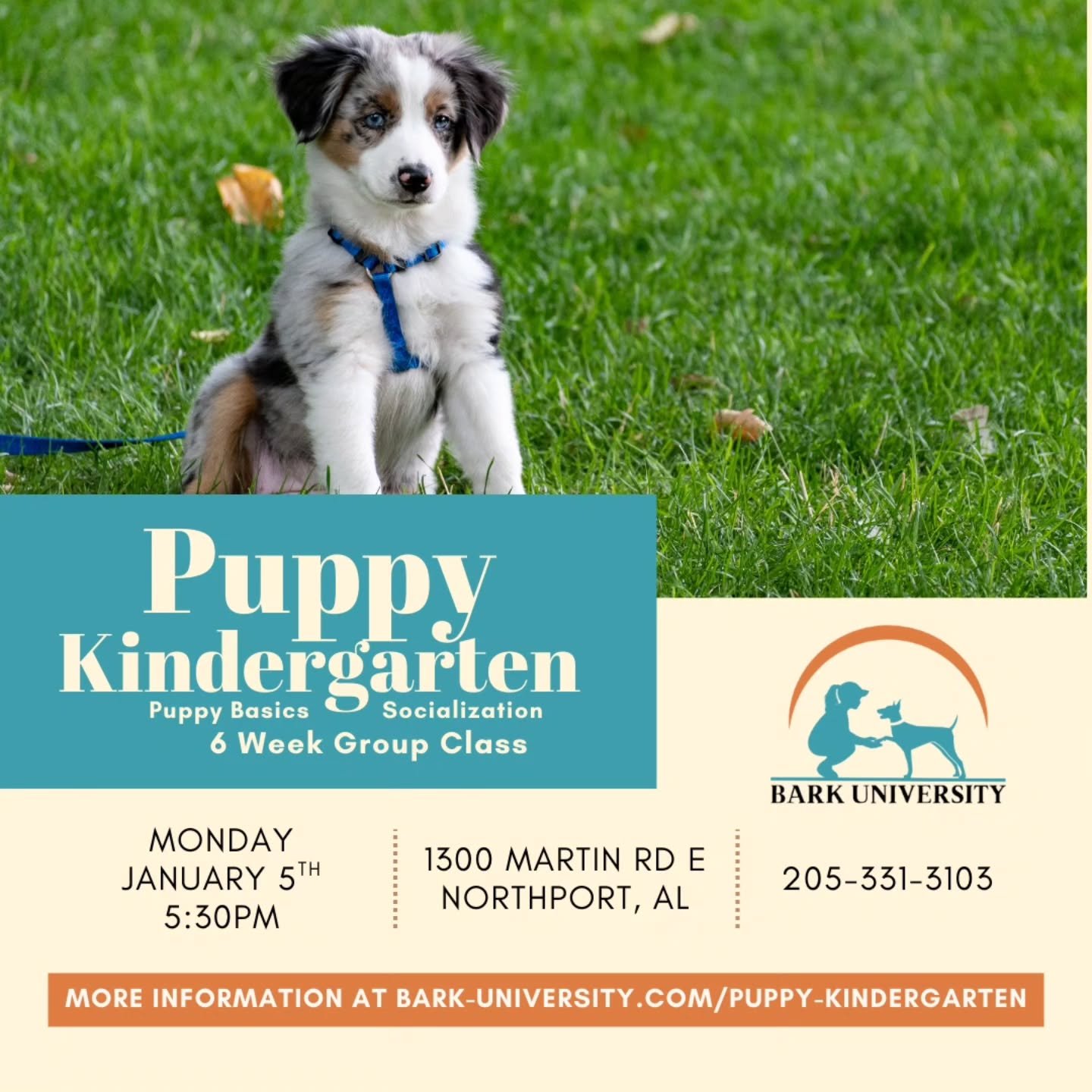 🎓🐾 Puppy Kindergarten is in session! 🐶✨
Got a pup between 2&ndash;4 months old? Our 6-week Puppy Kindergarten is the pawfect place to start your training journey! From socializing and playtime to learning essential commands, our classes are design