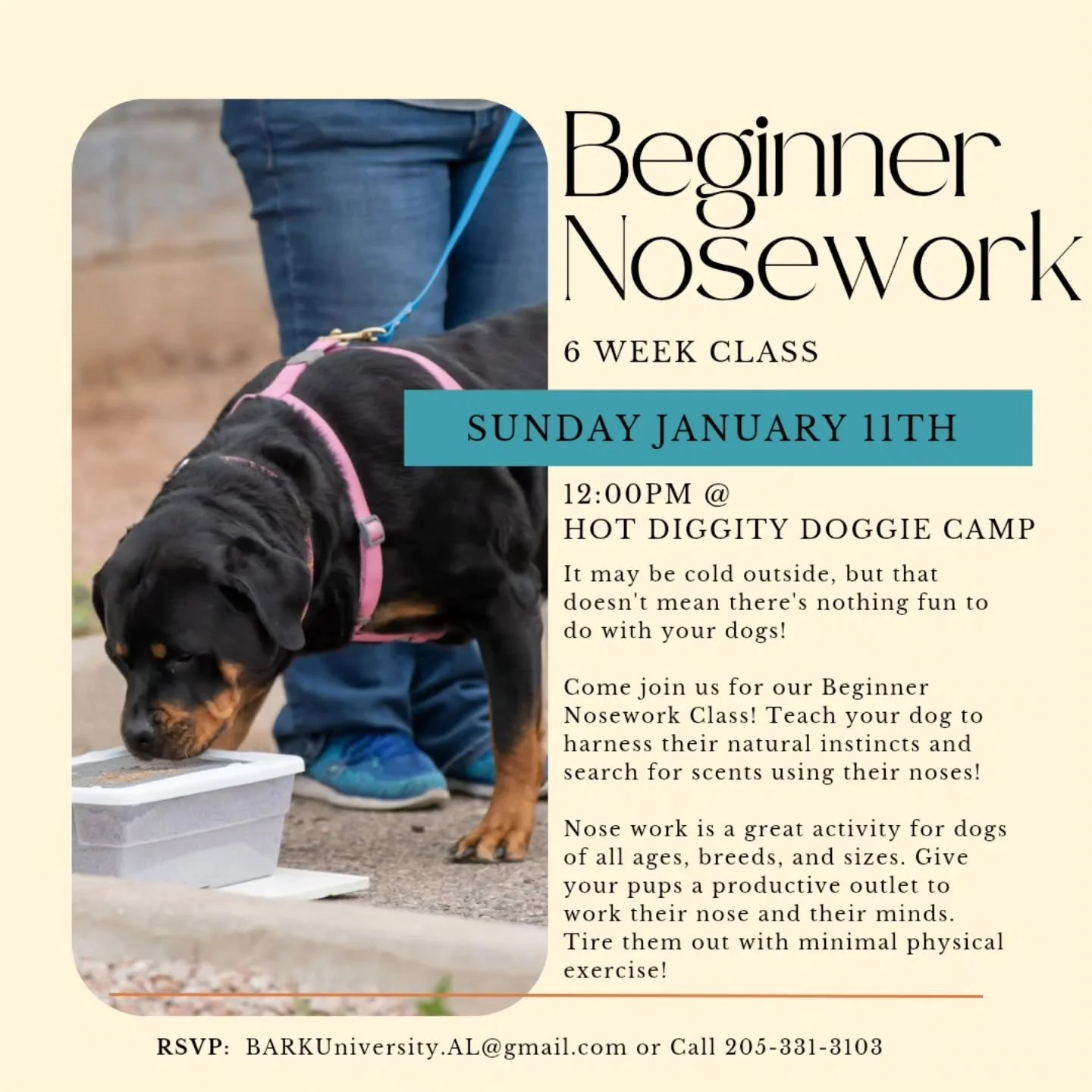 🐾 Sniff Out the Fun! 🐶
Join our 6-Week Beginner Nosework Class starting Sunday, January 11th at 12:00 PM &ndash; all indoors, rain or shine! 🌦️🏠

Nosework is more than just sniffing &mdash; it&rsquo;s a mentally enriching activity that:
👃 Builds