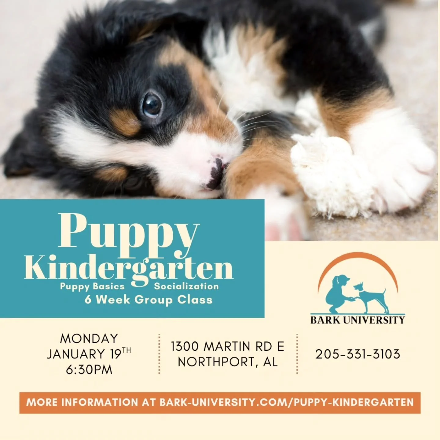 🎓🐾 Puppy Kindergarten is in session! 🐶✨
Got a pup between 2&ndash;4 months old? Our 6-week Puppy Kindergarten is the pawfect place to start your training journey! From socializing and playtime to learning essential commands, our classes are design