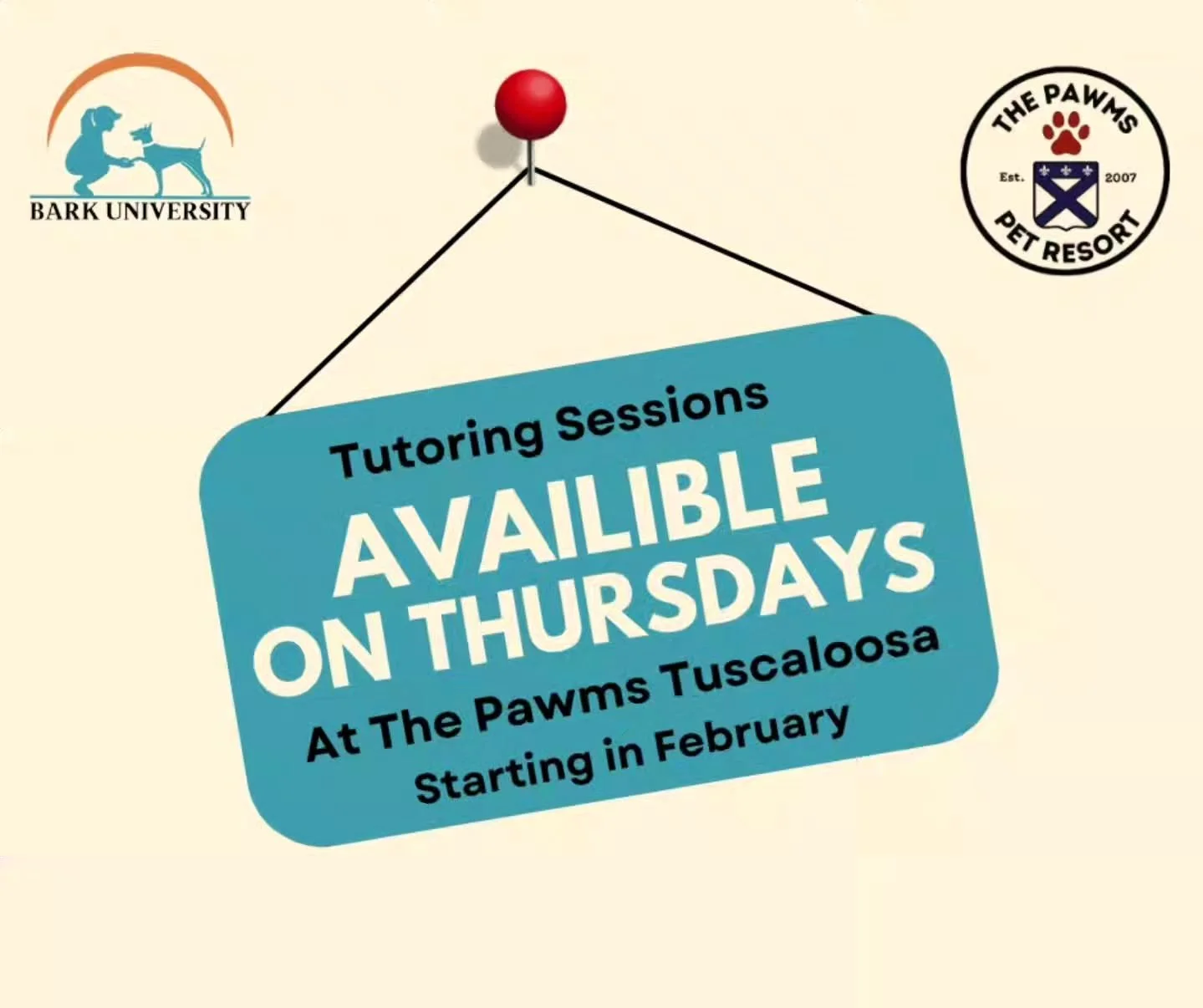 🐾 Tutoring is coming to Thursdays at The Pawms! 🐾

We&rsquo;re excited to offer 30-minute Tutoring sessions every Thursday at The Pawms! 🎉

While your dog enjoys their daycare day, one of our trainers will pull them for a focused 1-on-1 training s