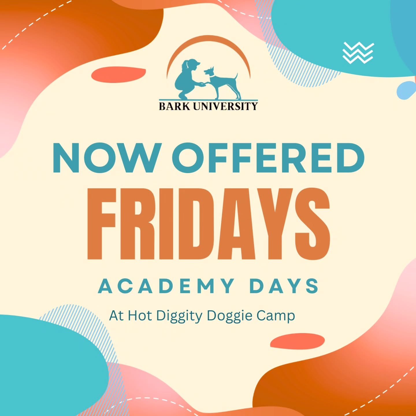 We're excited to announce that we're now offering Academy Days on Friday starting in March!

That's 5 days of fun filled activities 🐶🐾

Keep an eye out for our new activity schedule coming out soon.

Reach out to Hot Diggity Doggie Camp to make you