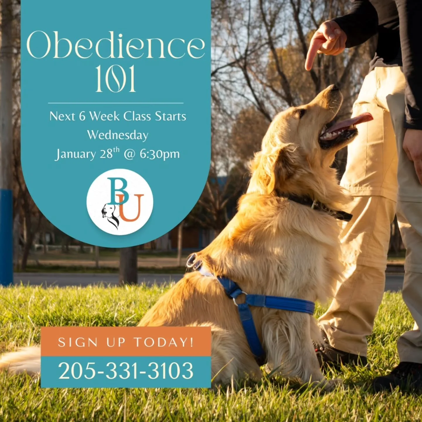 Our next Obedience 101 class is right around the corner! 

Our 6-Week Obedience 101 class teaches you and your pup all the foundational skills to help build trust, communication, and manners with your canine companion.

Contact us to reserve your spo