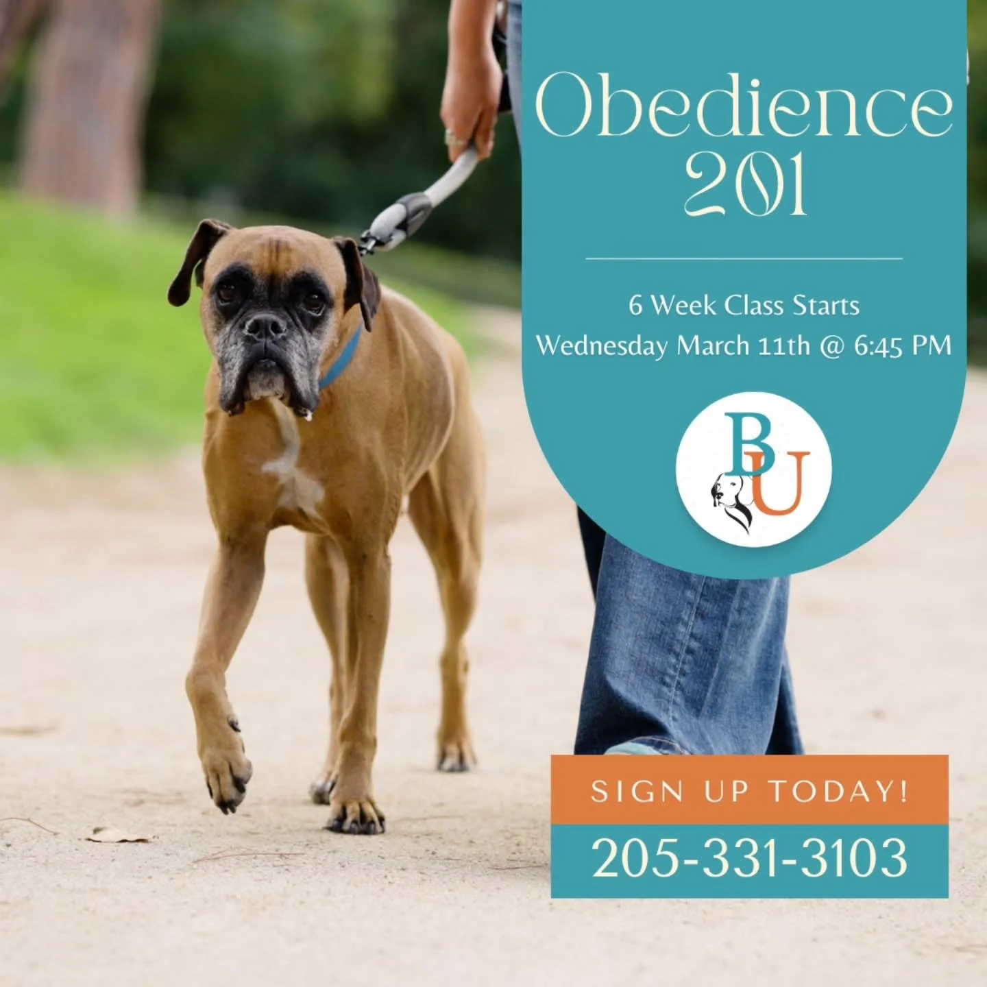 🎓🐾 Take Your Training to the Next Level!
Our Obedience 201 Class kicks off Wednesday, March 11th at 6:45pm &mdash; designed to help you and your dog apply obedience skills in real-world scenarios 🐕🌎

We&rsquo;ll work on loose-leash walking, impul