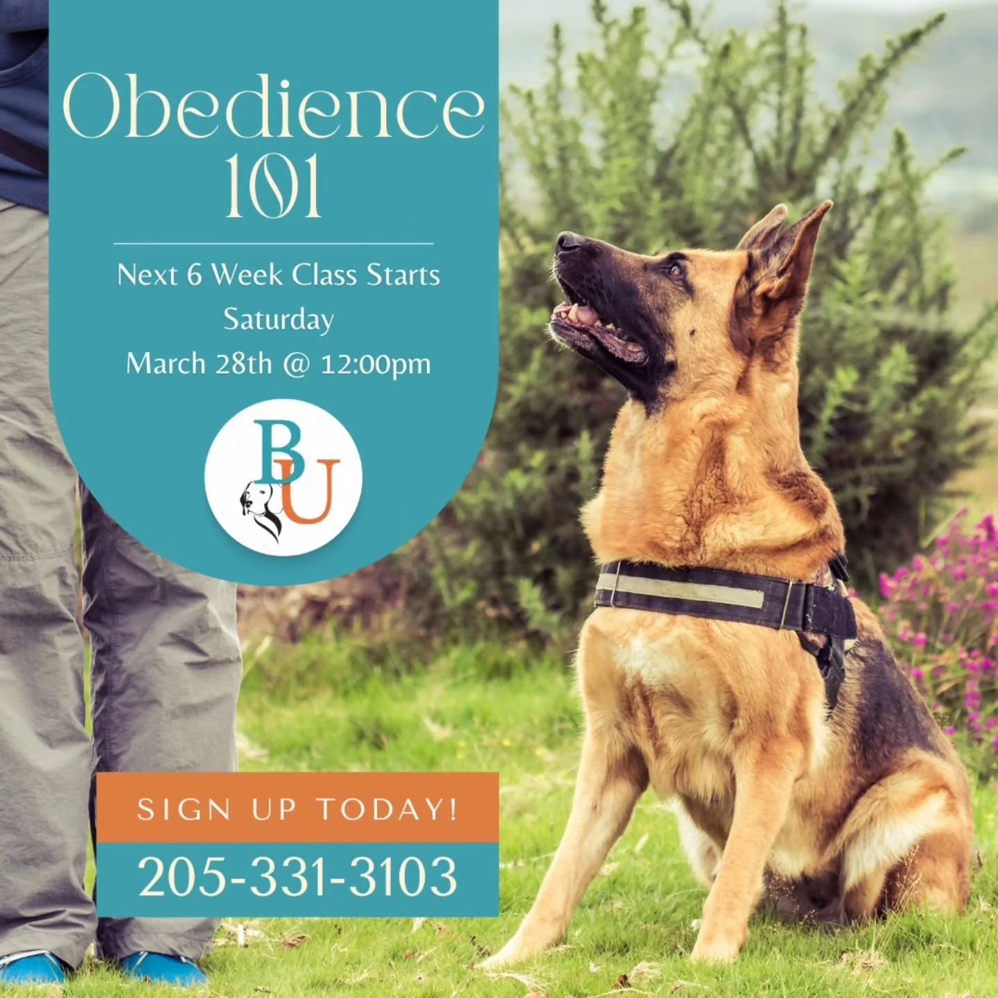 Our next Obedience 101 class is right around the corner! 

Our 6-Week Obedience 101 class teaches you and your pup all the foundational skills to help build trust, communication, and manners with your canine companion.

Contact us to reserve your spo