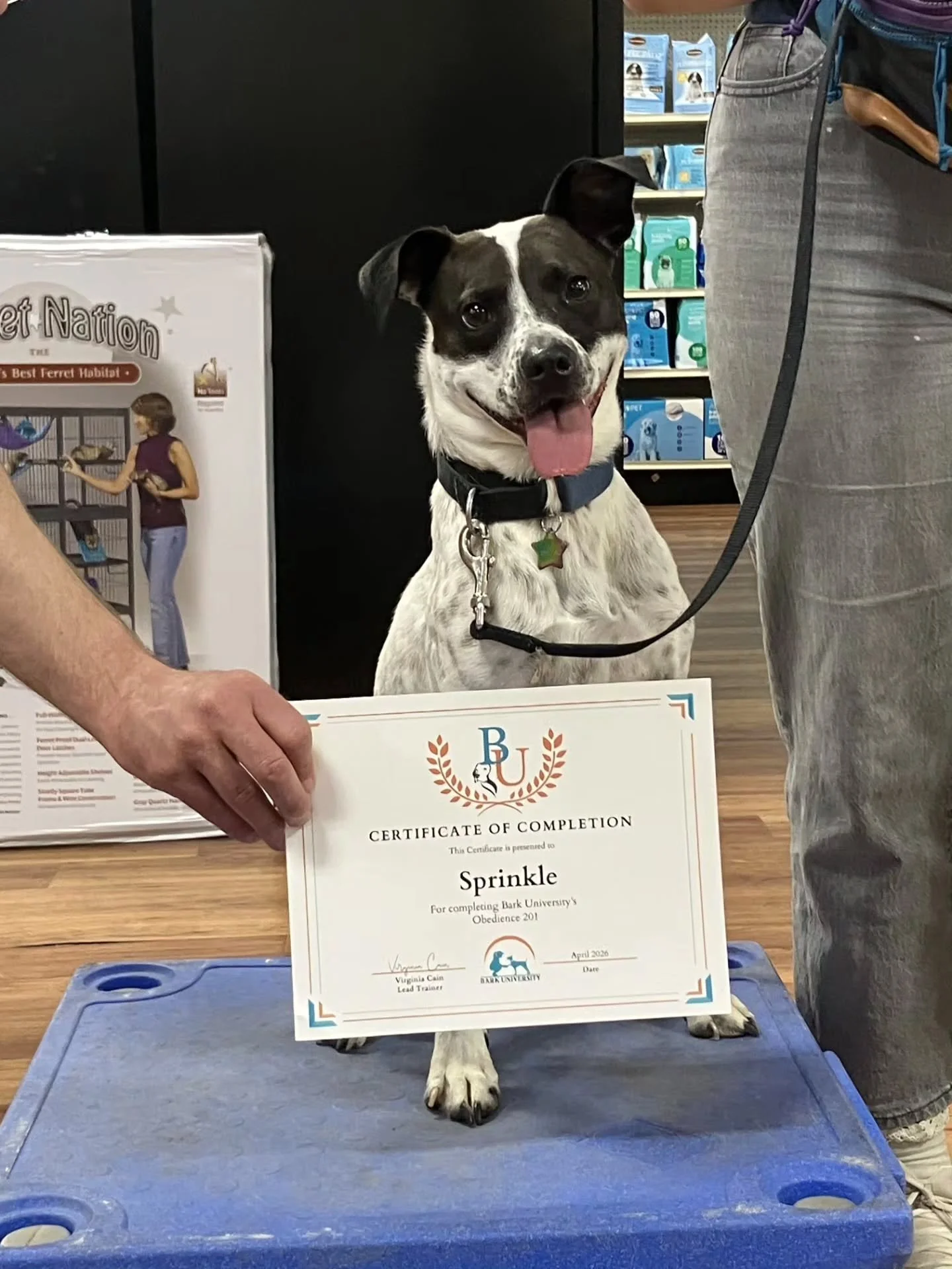 Huge congratulations to our Obedience 201 Off-site class that graduated this month!! 🎓🐶🐾

It's always a super fun class getting to go on adventures across Tuscaloosa working on training!

If you ever see us out and about for our classes, be sure t