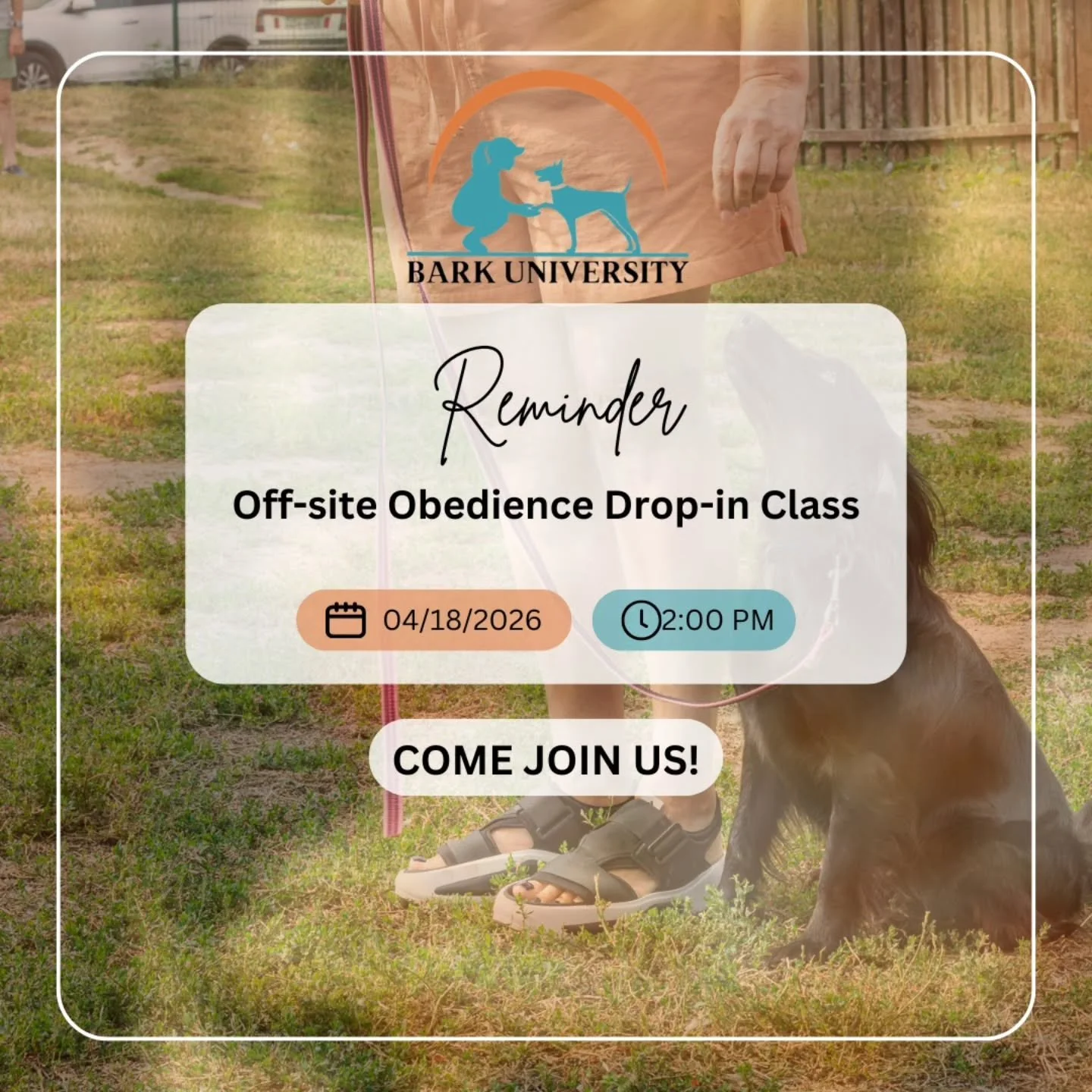 Reminder: We still have 2 open spots in our Drop-in Obedience Class this weekend! 

$30 for the 45 minute class

Class will be Off-site at a location in Northport. Location will be decided closer to Saturday and depending on the weather.

Call/Text: 