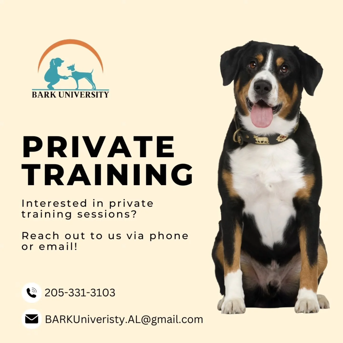 🐾 Struggling with your pup&rsquo;s behavior? We&rsquo;ve got you covered! 🐾

Our Private Training Sessions are tailored just for you and your dog&mdash;so we can focus on exactly what you need help with most!

From reactivity and behavioral challen