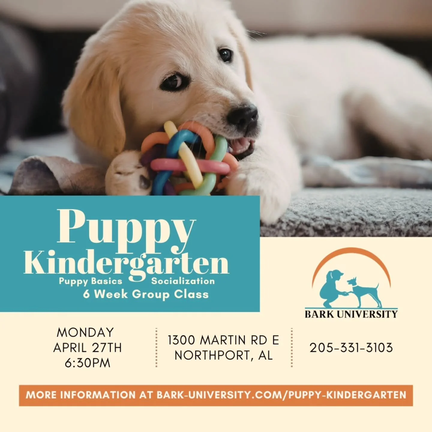 🎓🐾 Puppy Kindergarten is in session! 🐶✨
Got a pup between 2&ndash;4 months old? Our 6-week Puppy Kindergarten is the pawfect place to start your training journey! From socializing and playtime to learning essential commands, our classes are design