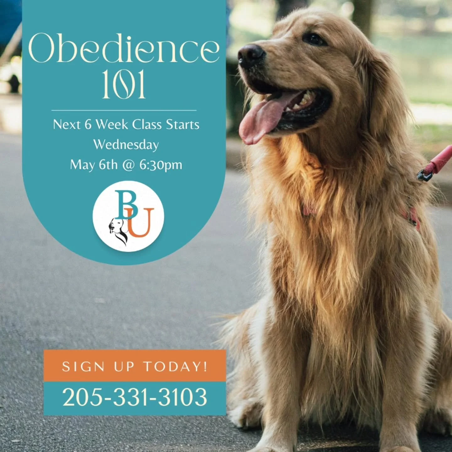 Our next Obedience 101 class is right around the corner! 

Our 6-Week Obedience 101 class teaches you and your pup all the foundational skills to help build trust, communication, and manners with your canine companion.

🐾 Name Recognition 
🐾 Sit
🐾