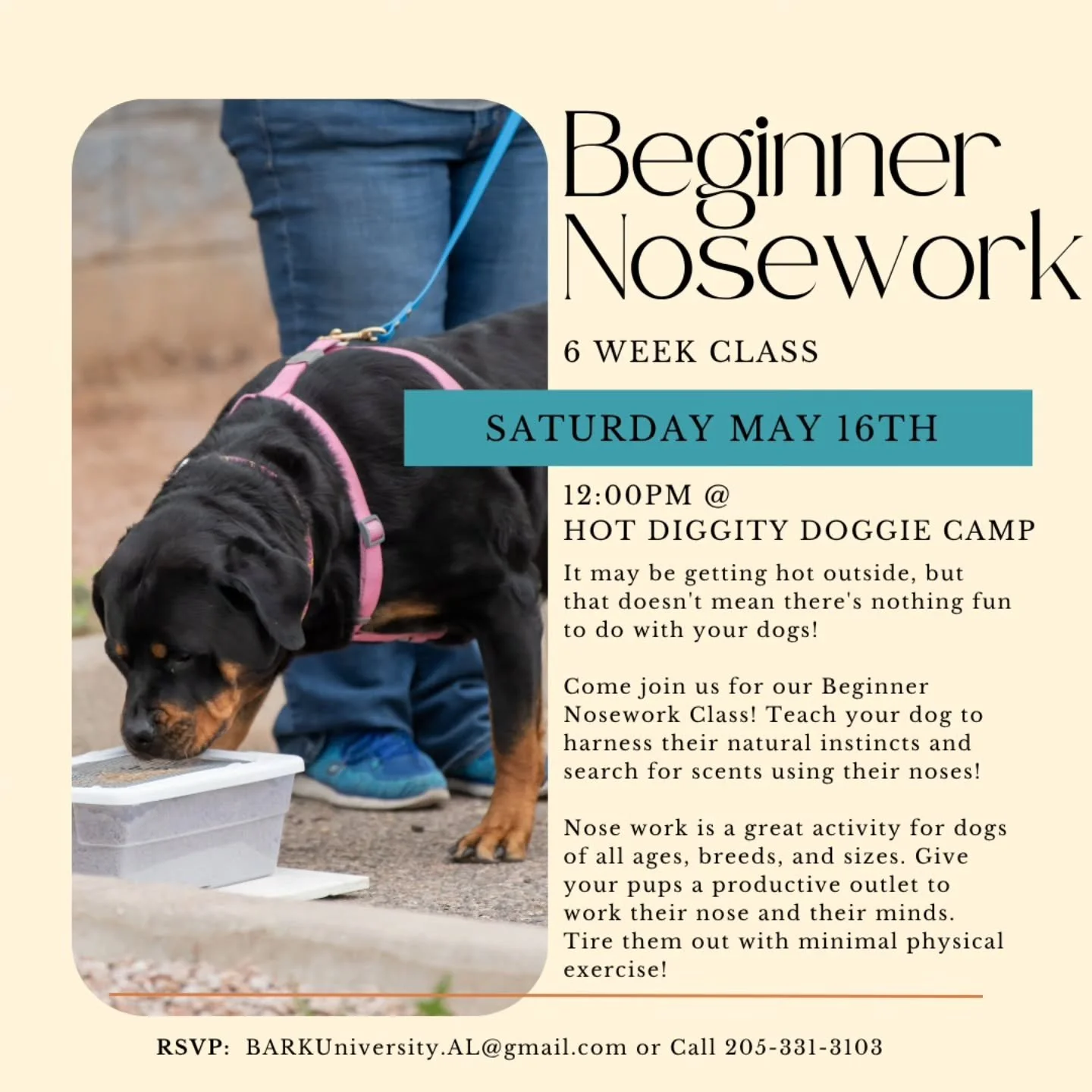 🐾 Sniff Out the Fun! 🐶
Join our 6-Week Beginner Nosework Class starting Saturday, May 16th @ 12:00pm&ndash; all indoors, rain or shine! 🌦️🏠

Nosework is more than just sniffing &mdash; it&rsquo;s a mentally enriching activity that:
👃 Builds conf