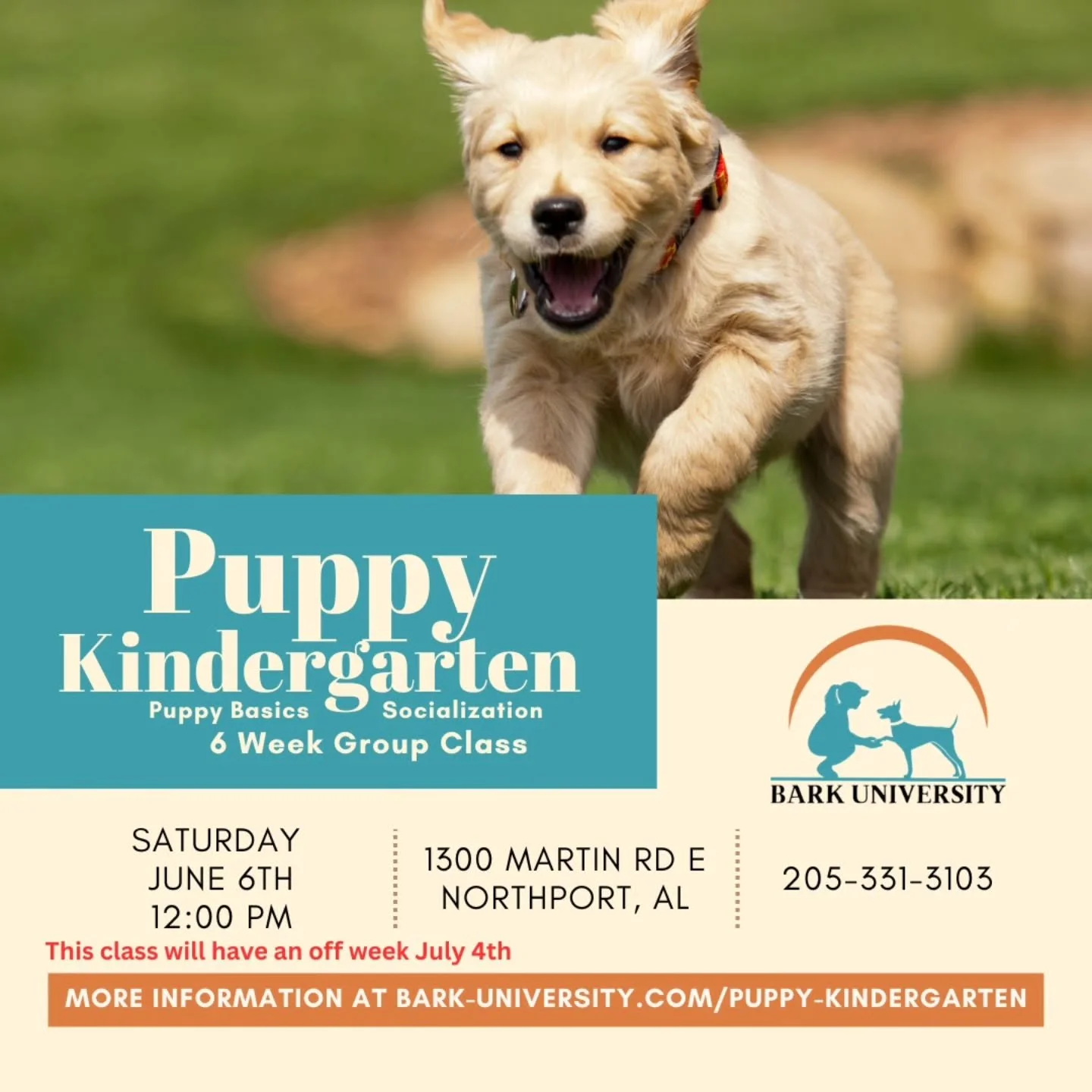 🎓🐾 Puppy Kindergarten is in session! 🐶✨
Got a pup between 2&ndash;4 months old? Our 6-week Puppy Kindergarten is the pawfect place to start your training journey! From socializing and playtime to learning essential commands, our classes are design