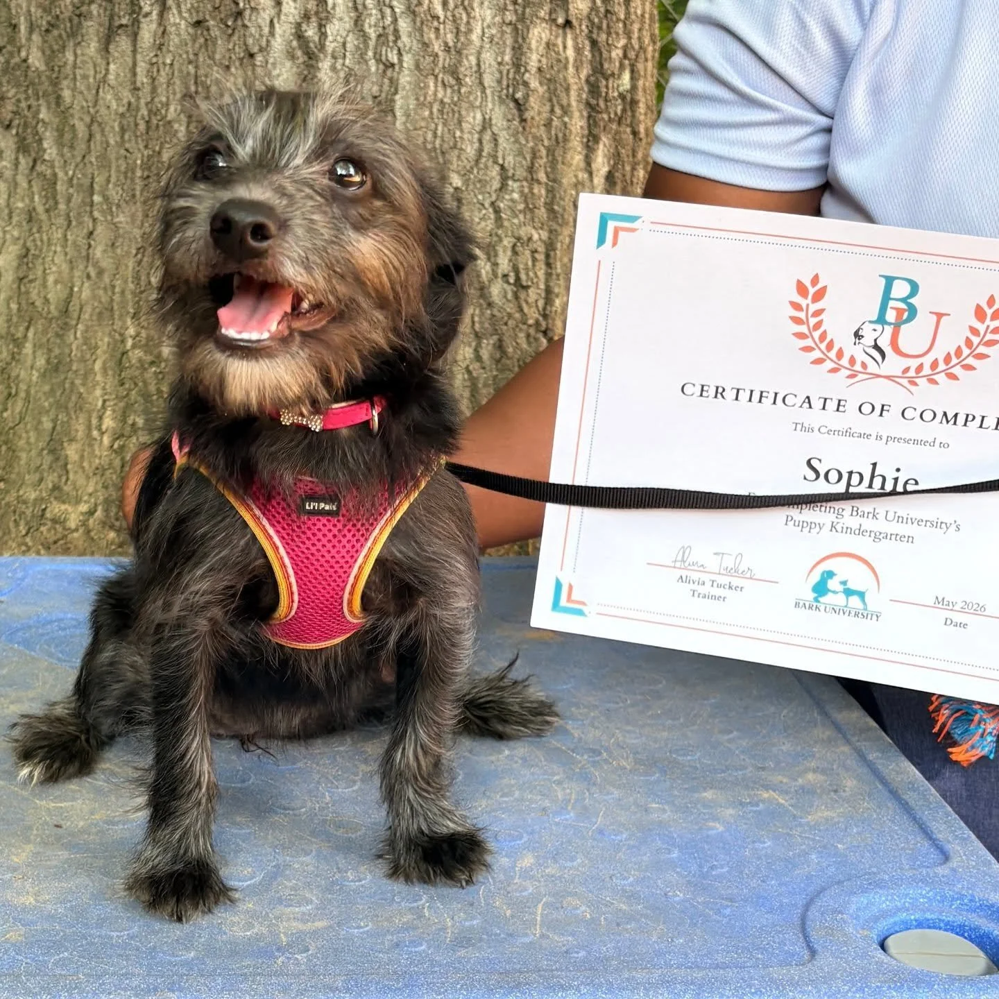 Congratulations to our May Puppy Graduates! 🐶 🎓