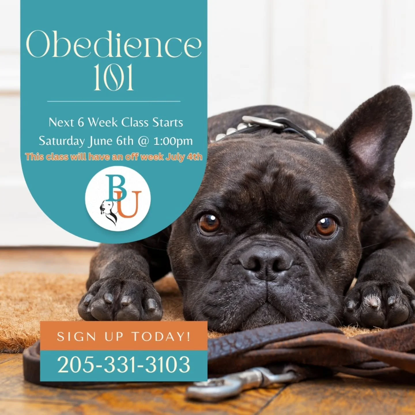 Our next Obedience 101 class is right around the corner! 

Our 6-Week Obedience 101 class teaches you and your pup all the foundational skills to help build trust, communication, and manners with your canine companion.

🐾 Name Recognition 
🐾 Sit
🐾