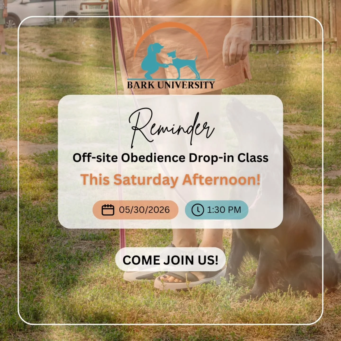 Reminder: Obedience Drop-in THIS SATURDAY!

We will have an off-site drop in class to help you brush up on your dog's manners out in public with the guidance of our trainers. 

To join us - call, text, or email!
(205)331-3103
Barkuniversity.al@gmail.