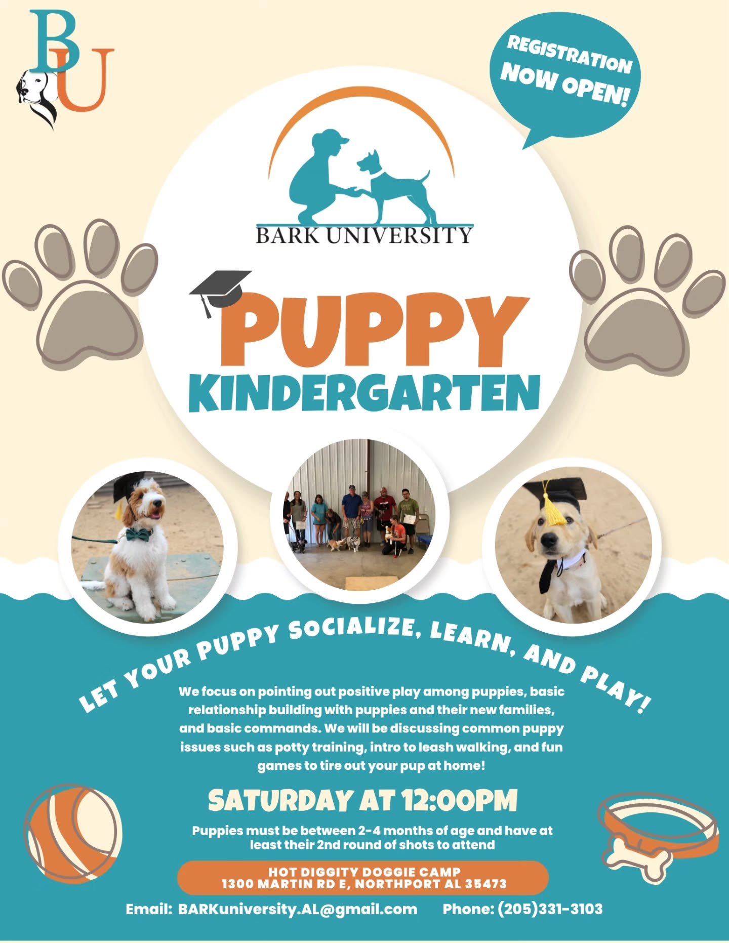 🎓🐾 Puppy Kindergarten is in session! 🐶✨

📆Class starting June 6th at 12:00pm!

Got a pup between 2&ndash;4 months old? Our 6-week Puppy Kindergarten is the pawfect place to start your training journey! From socializing and playtime to learning es