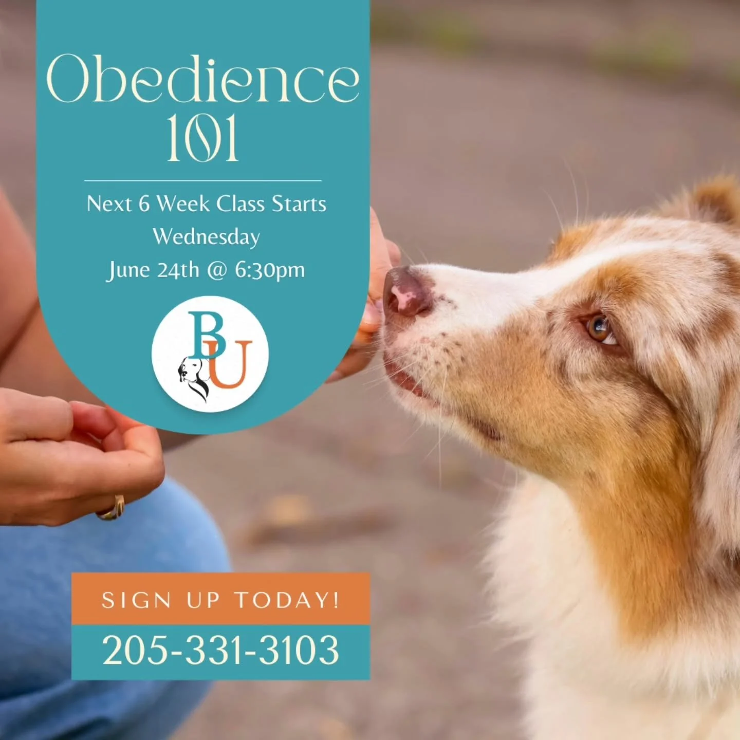 Our next Obedience 101 class is right around the corner! 

Our 6-Week Obedience 101 class teaches you and your pup all the foundational skills to help build trust, communication, and manners with your canine companion.

🐾 Name Recognition 
🐾 Sit
🐾