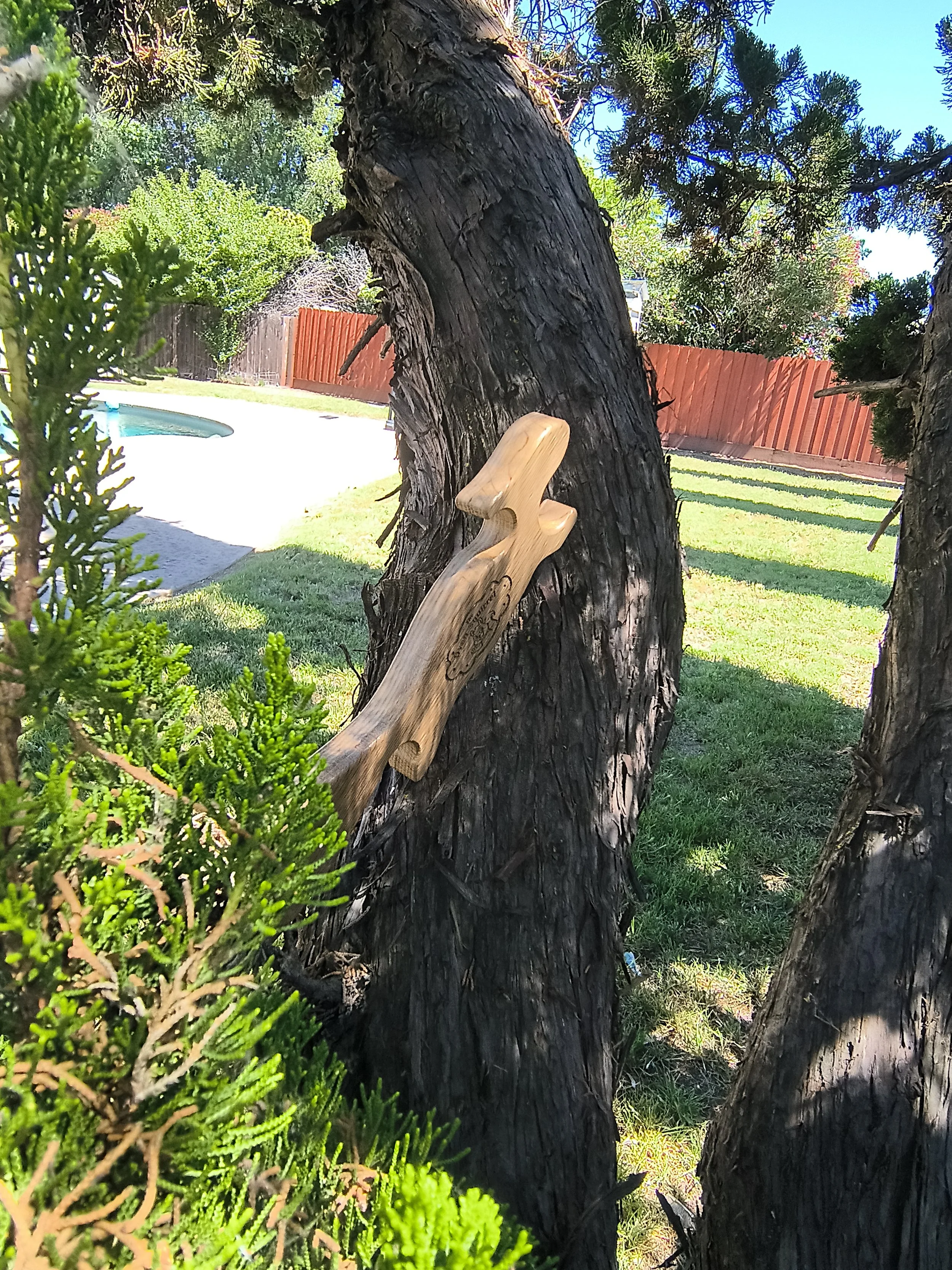 squirrel 6.jpg