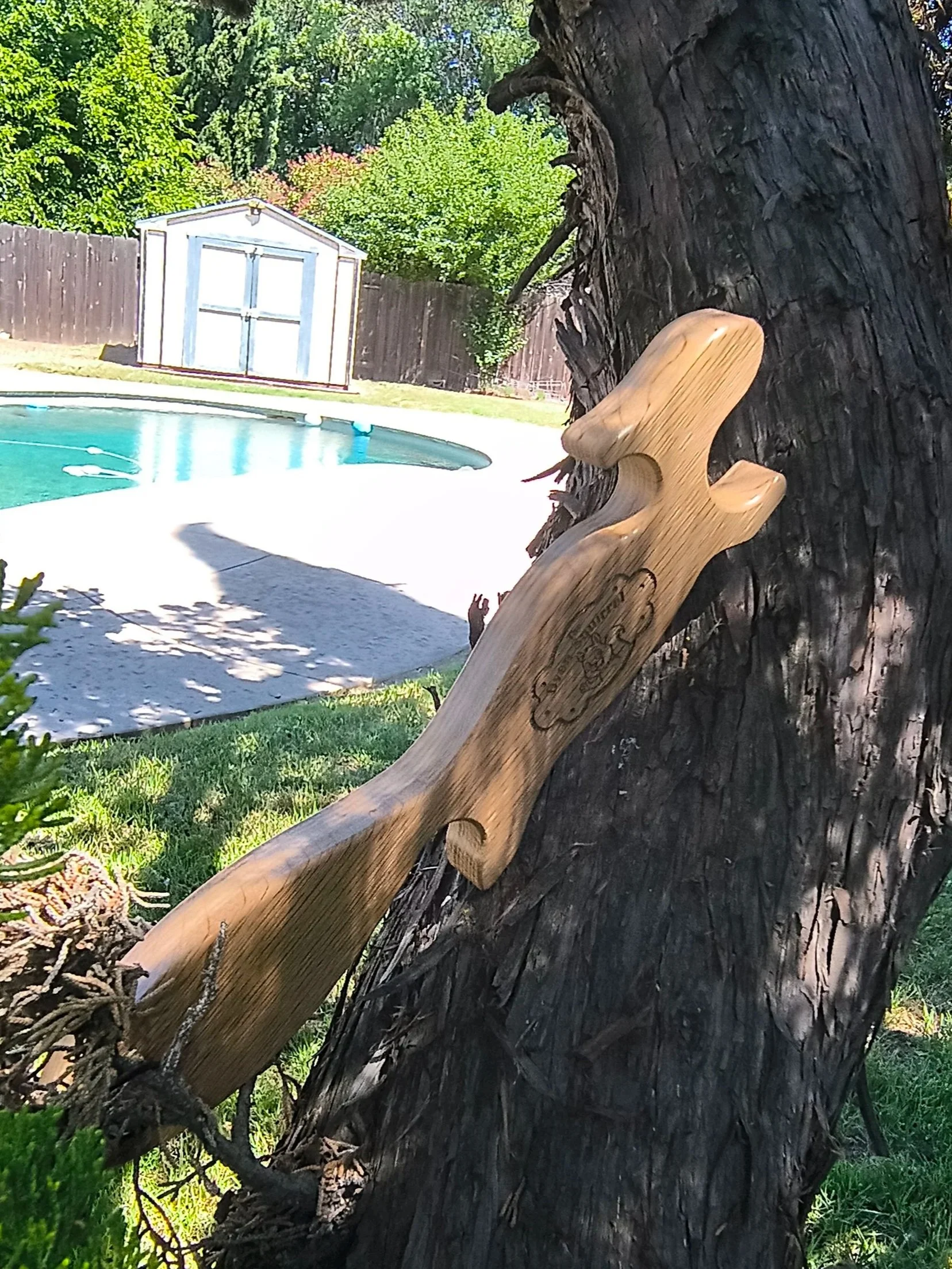 squirrel+9.jpg