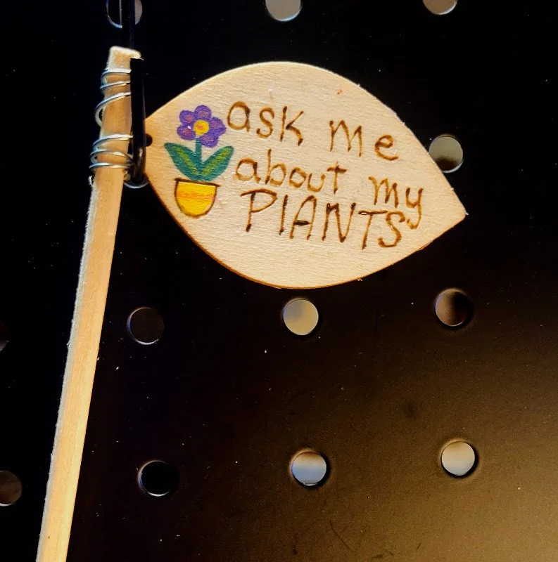 #404 ask me about my plants