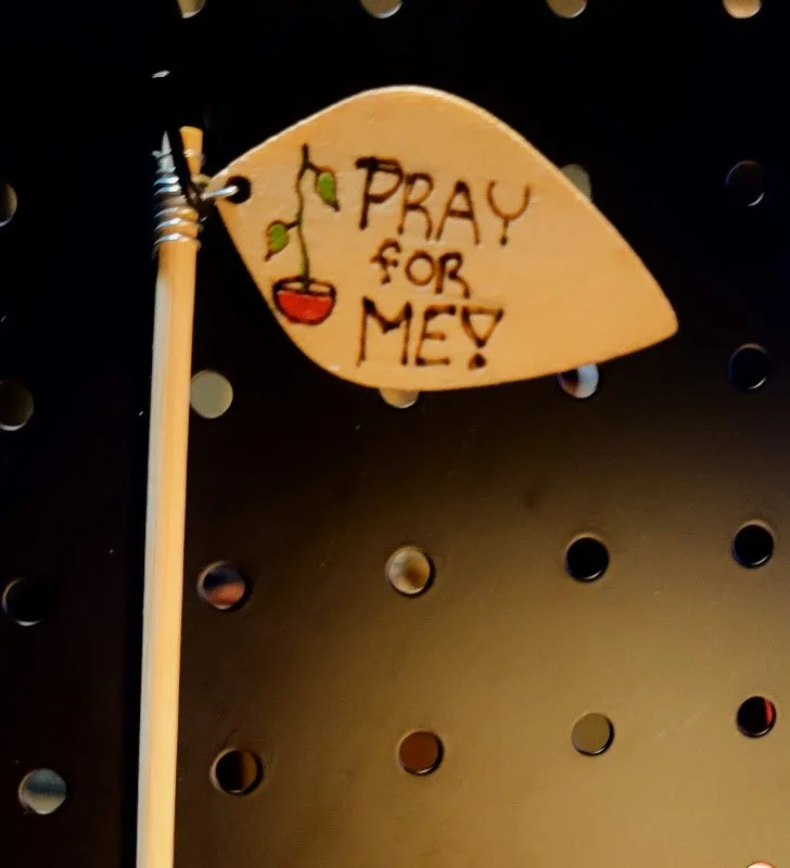 #406 pray for me plant sign
