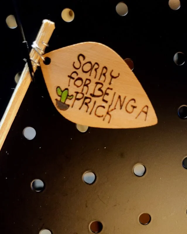 #411 sorry for being a prick plant sign