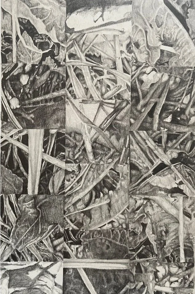 Altered Entity, 2023
Graphite on paper 
6" x 9"
