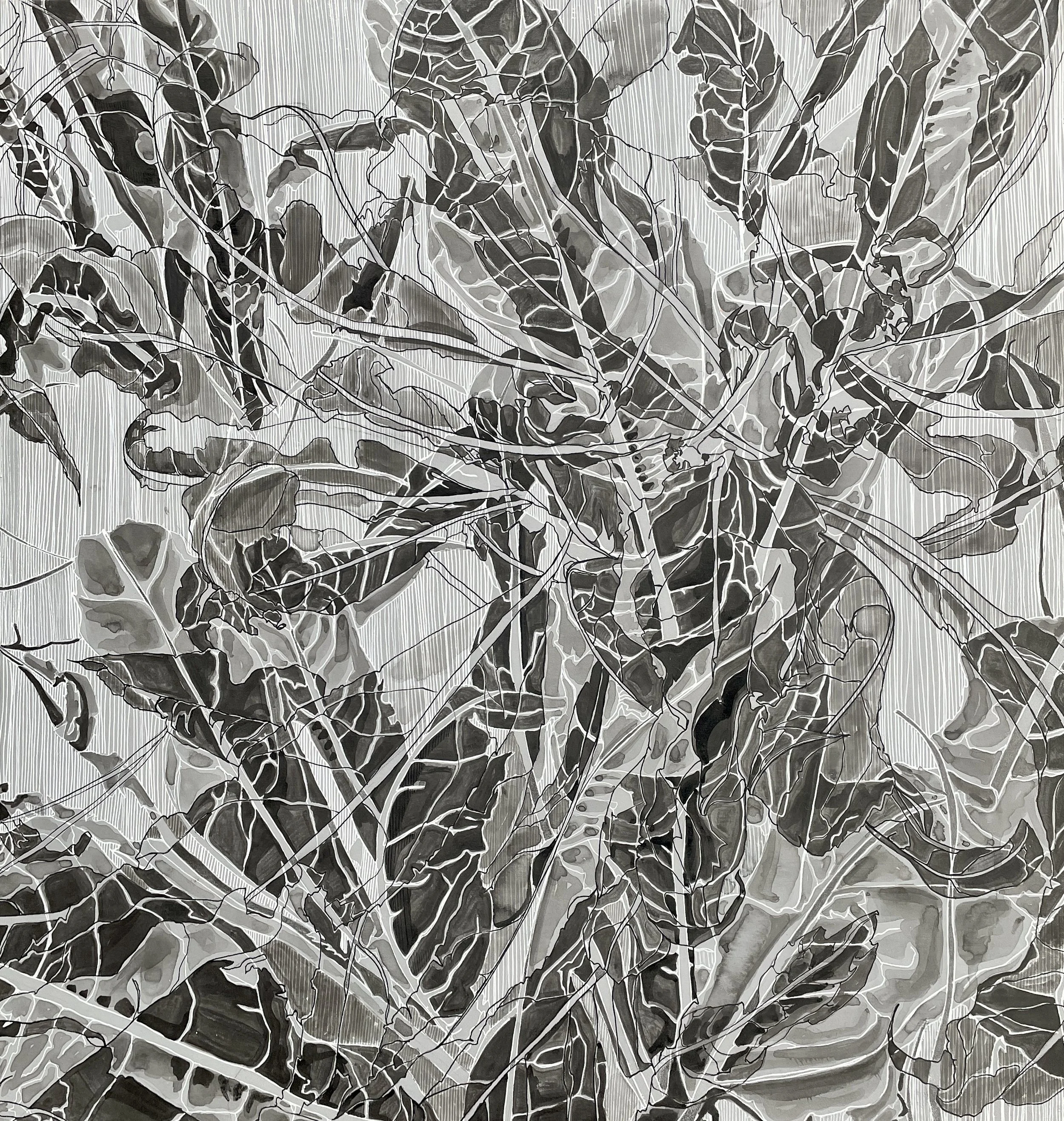 Esoteric Resolve,  2023
India and Acrylic Ink on Wood Panel 
23” x 24” 
