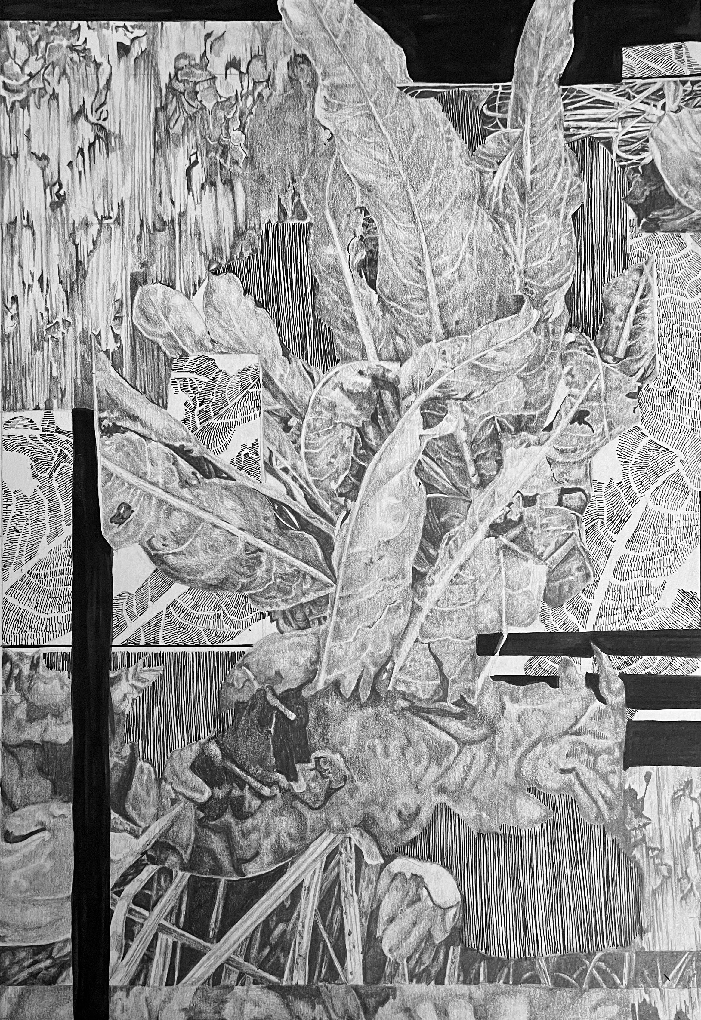 Menagerie, 2024
Graphite, Pen, and Acrylic Ink on Paper 
9" x 13" 