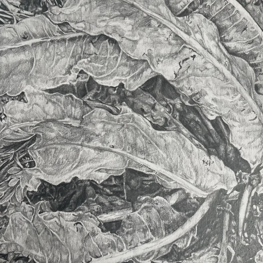 Silent Motion 1, 2023
Graphite on Paper 
6" x 6" 