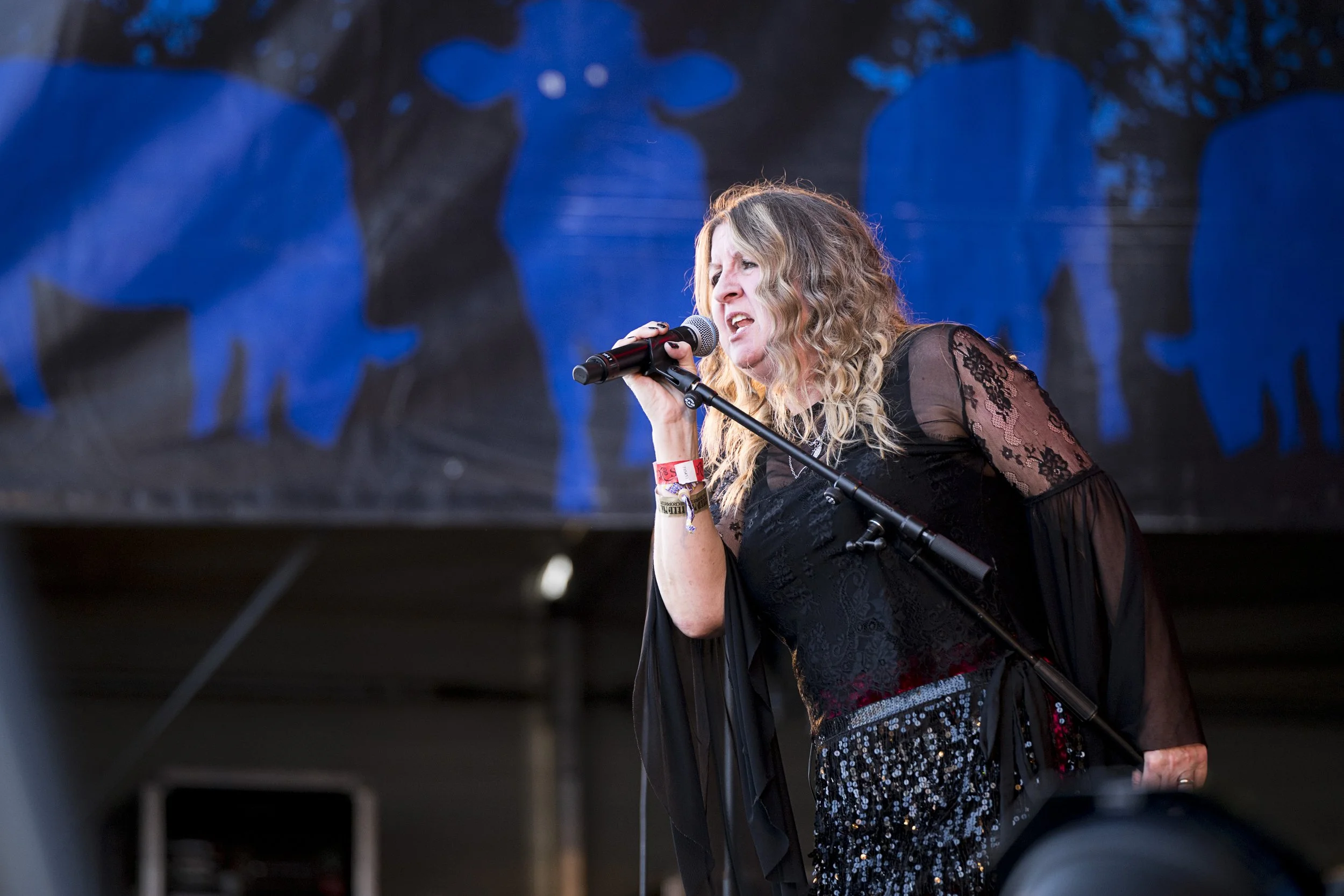 052_Cropredy2025_JZ8_4456.jpg