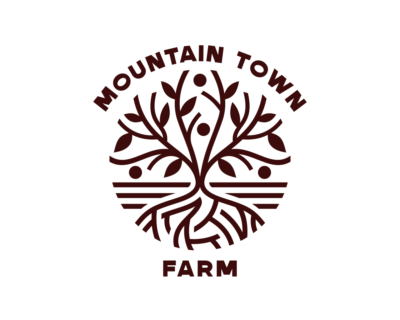 Mountain Town Farm