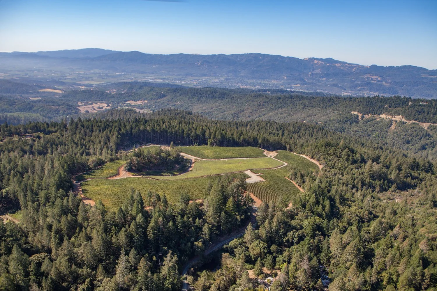 robb mcdonough-3783.jpg