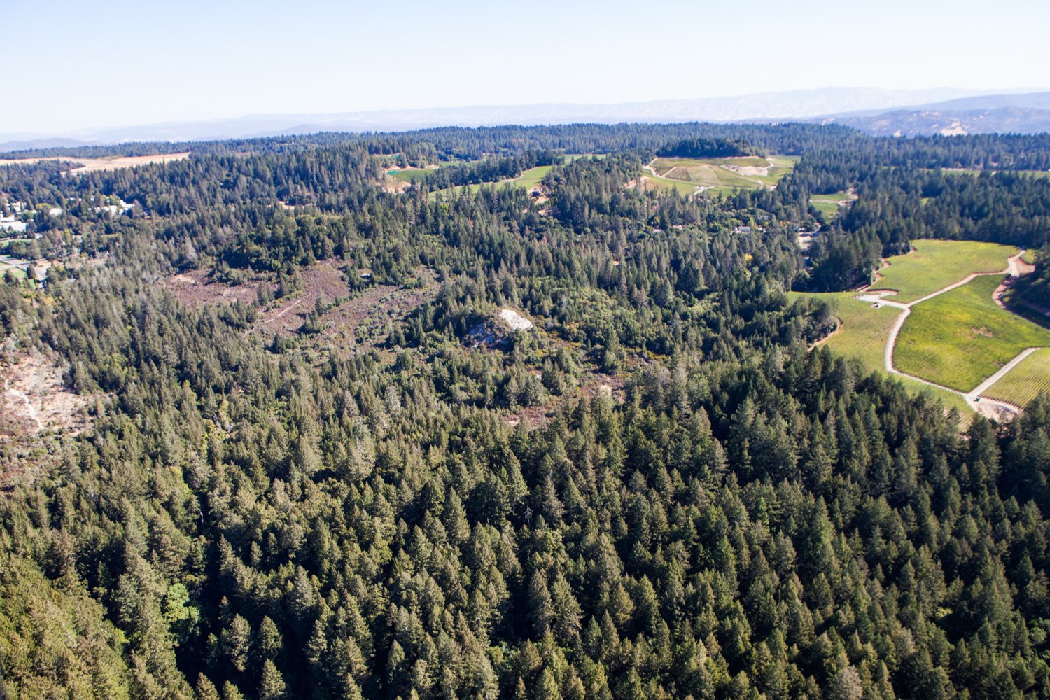 robb mcdonough-3793.jpg