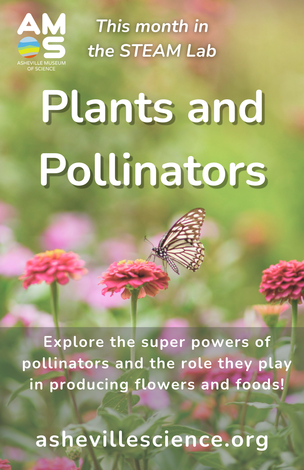 Plants and Pollinators in the AMOS STEAM Lab&nbsp;