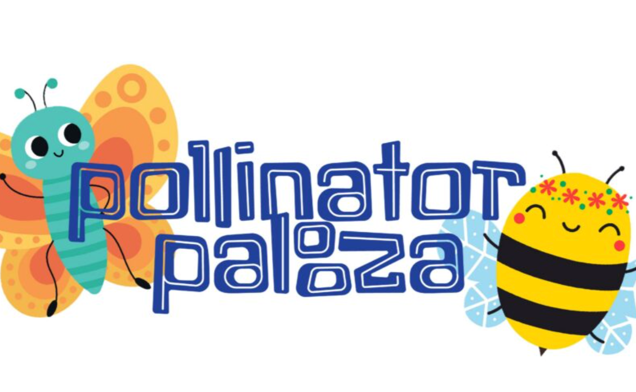 pollinator palooza