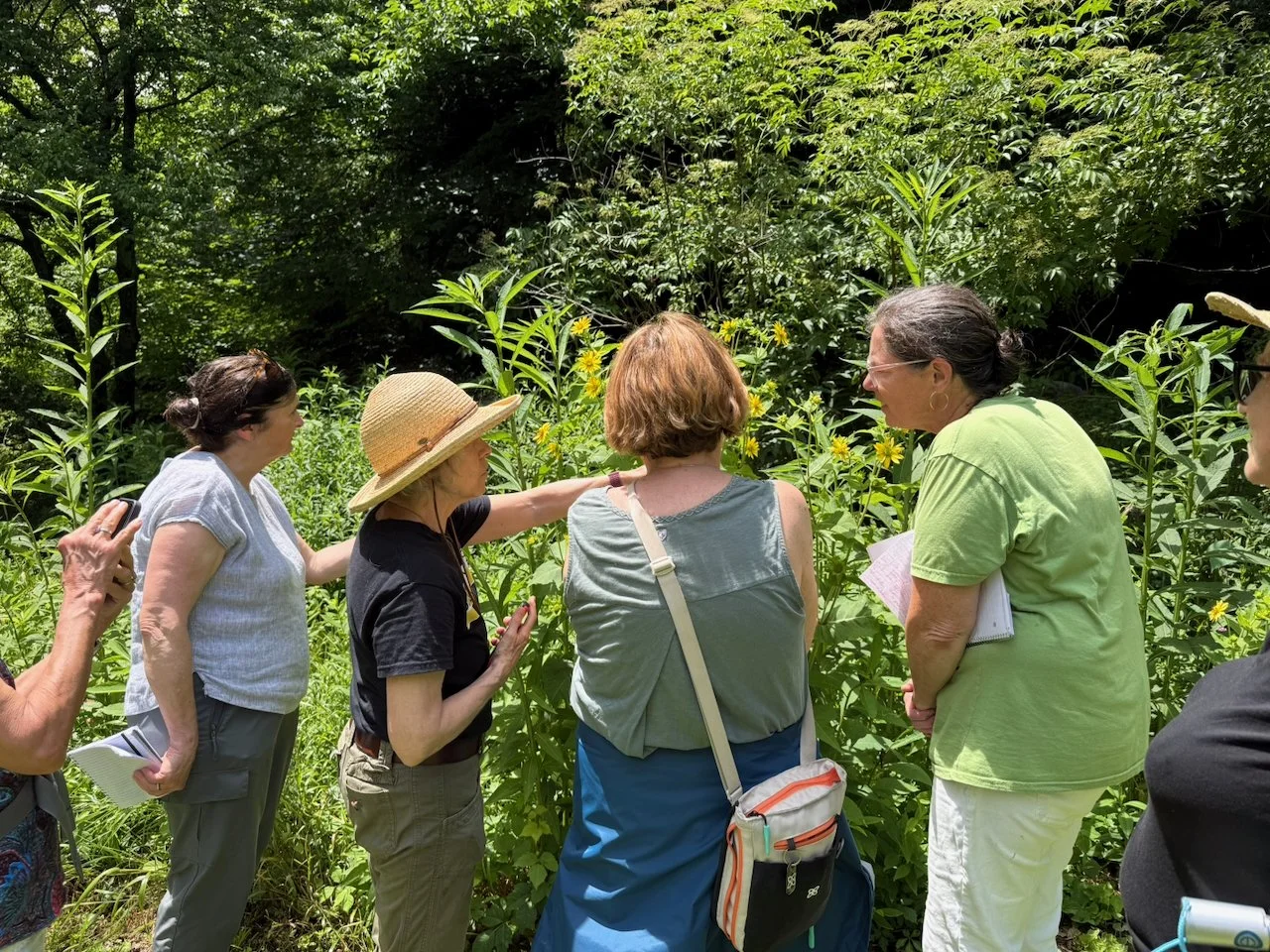 Pollinator Safari with Florrie Funk (Rain Date: June 20)