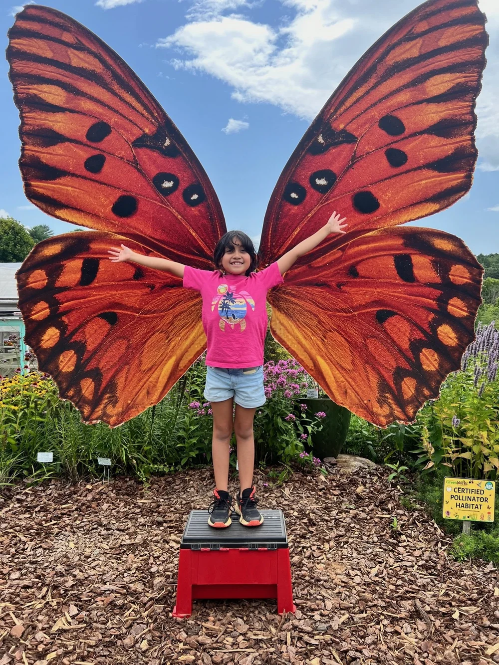 AVL Butterfly Trail — Bee City Asheville