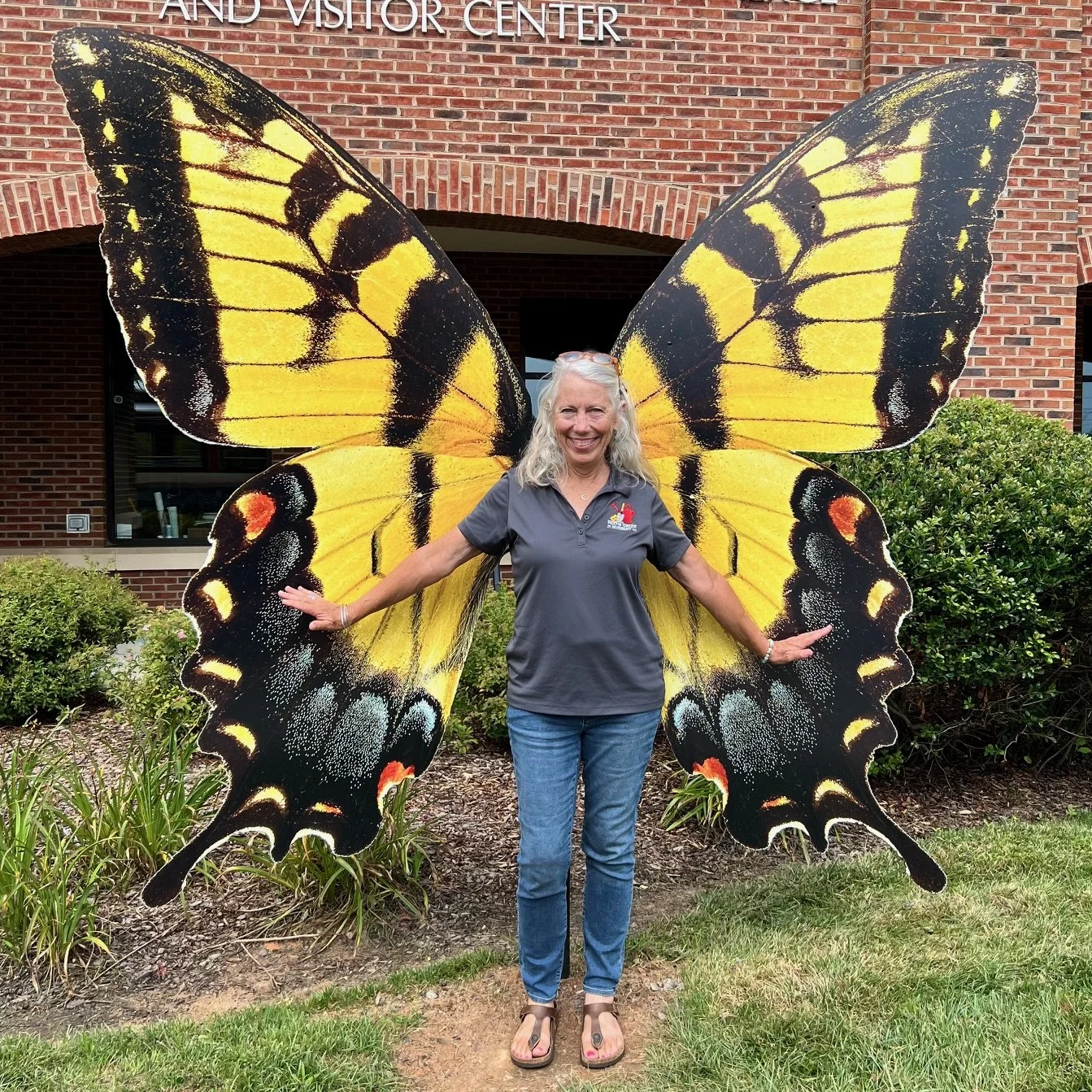 Eastern Tiger Swallowtail