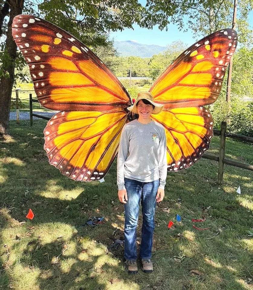 Monarch - Dr. John Wilson Community Garden Parking Lot, 99 White Pine Dr,, Black Mountain