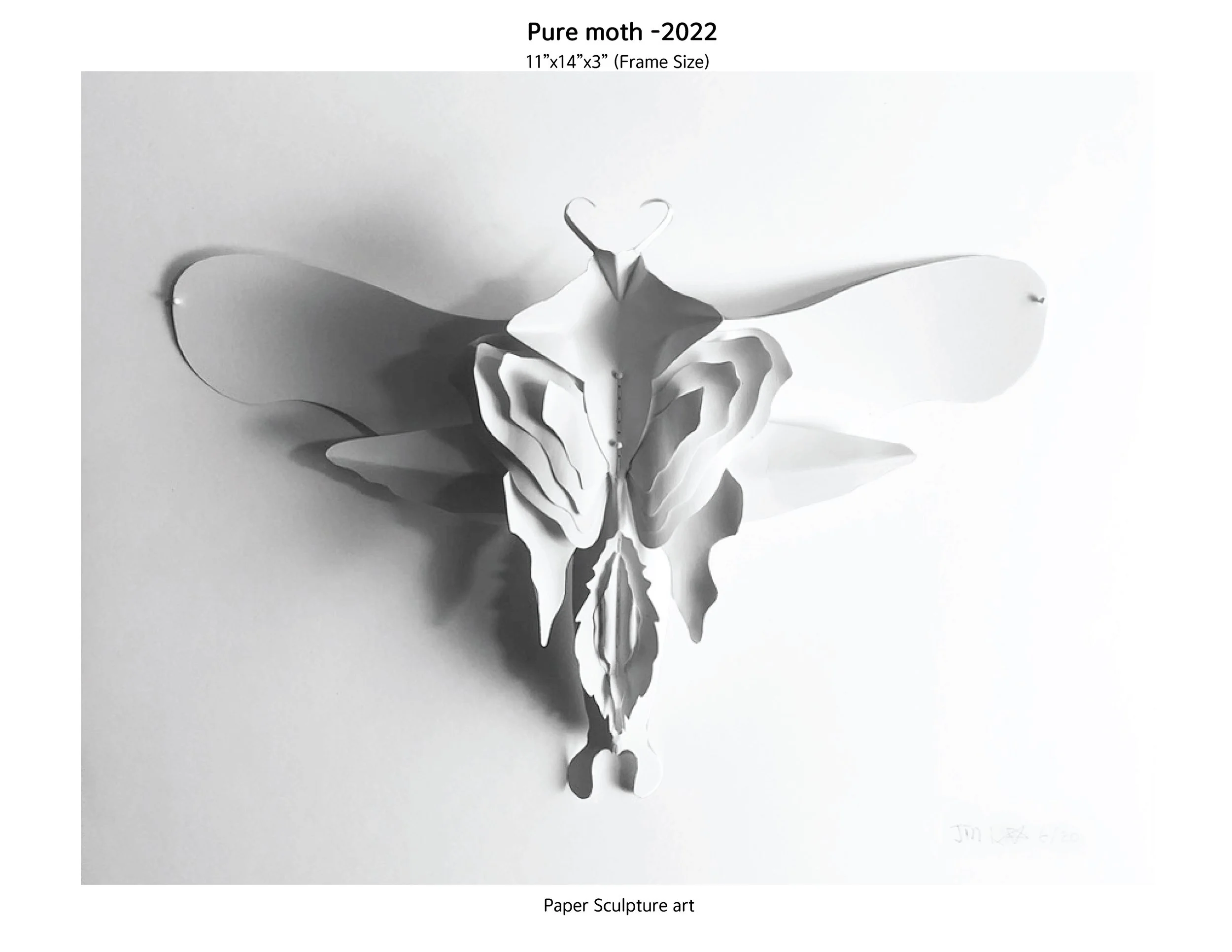 1butterfly-PF-2.16.24.jpg