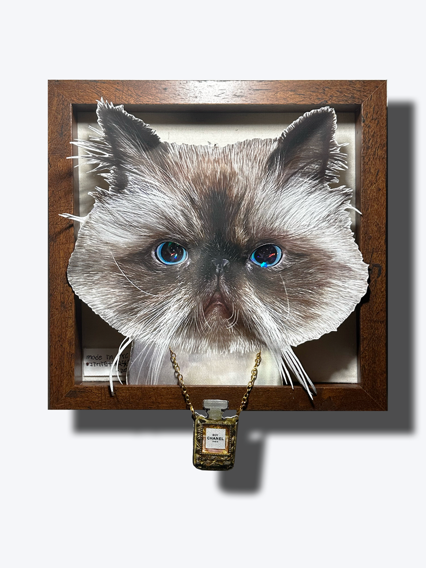 Rokay /3D Illusion portrait art