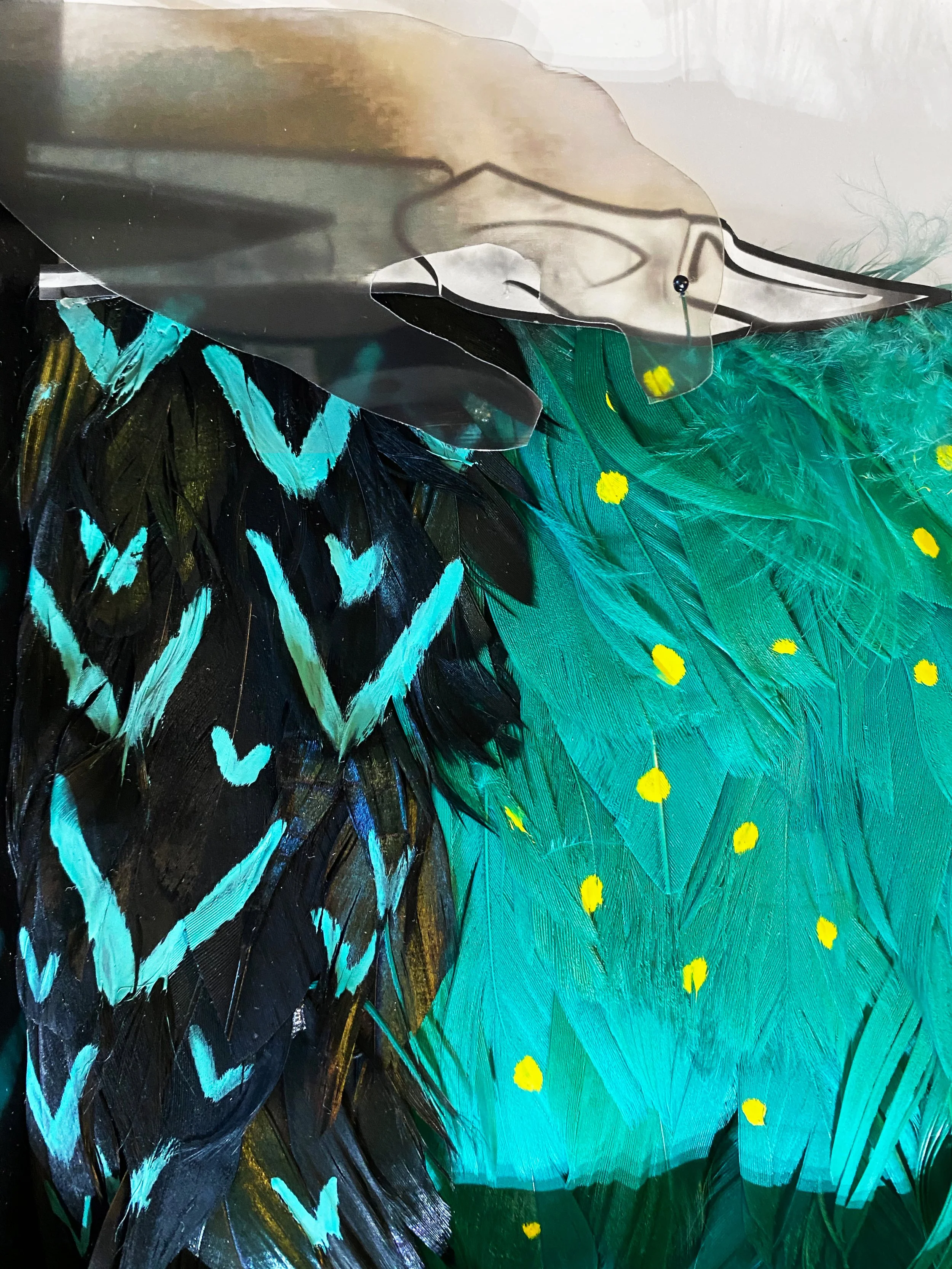 Big Bird Detail 1.jpg